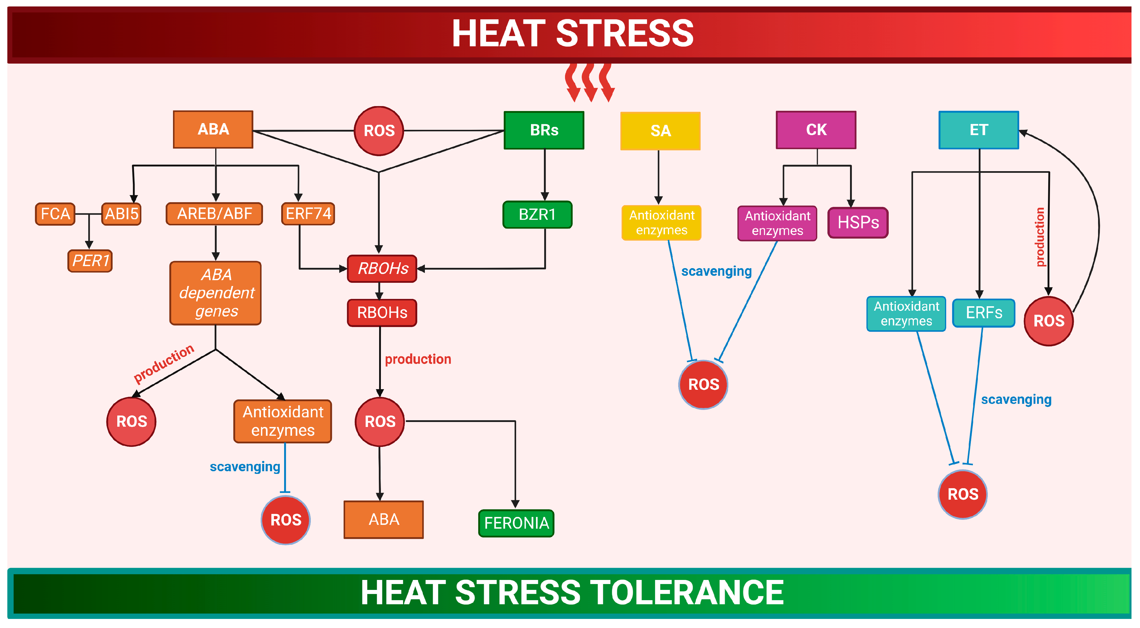 Antioxidants 12 00605 g002