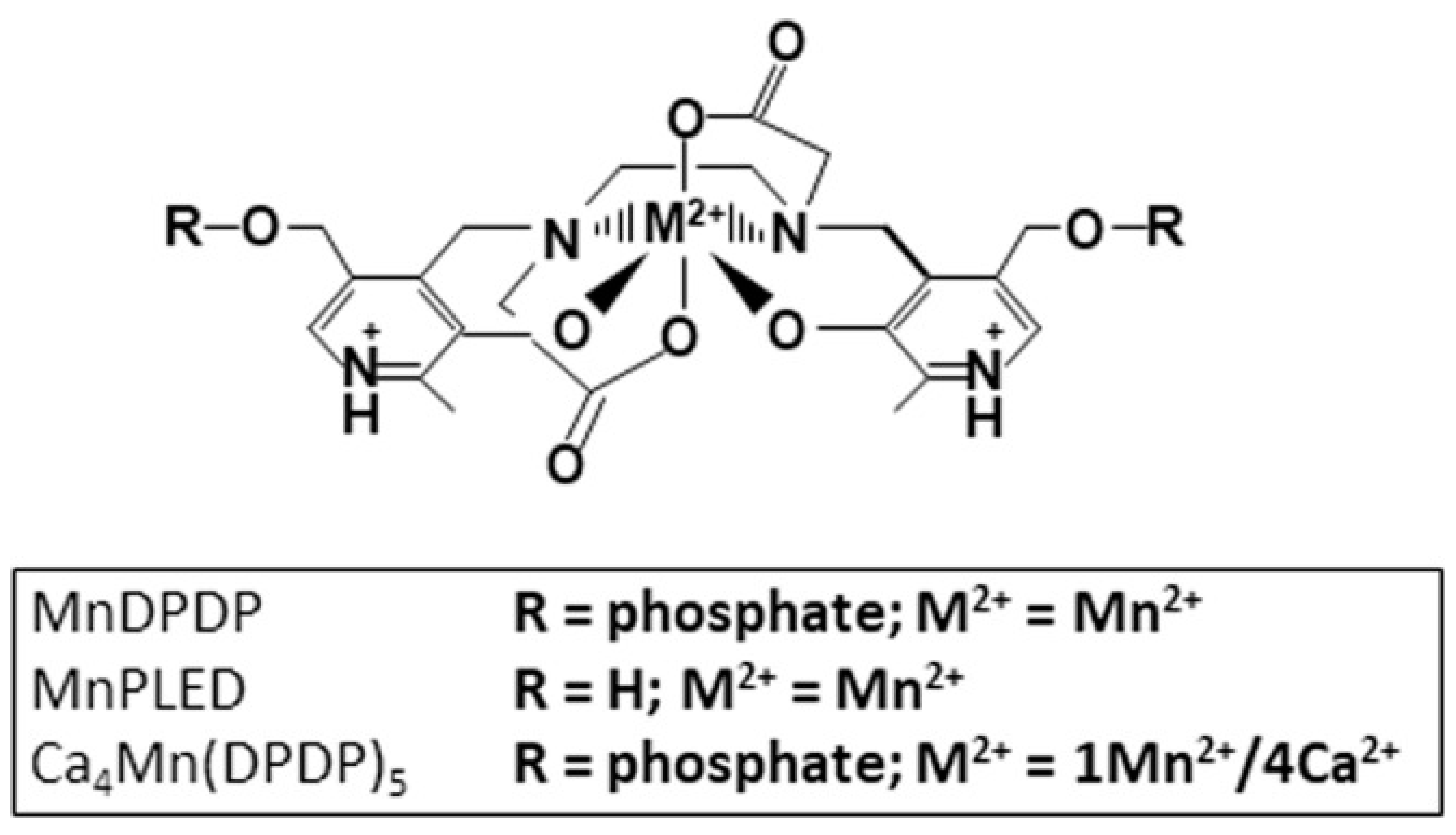 Antioxidants 12 00608 g001