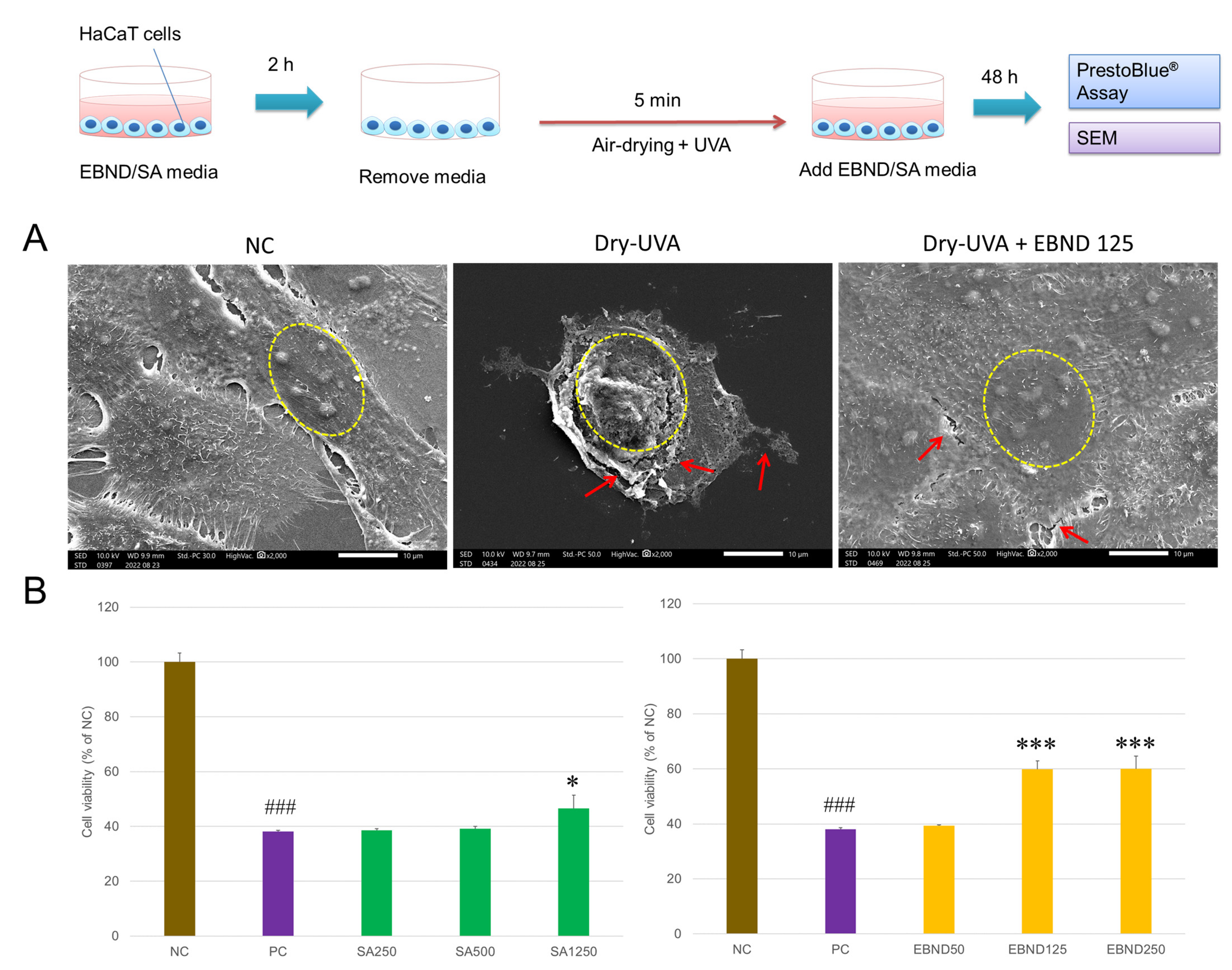 Antioxidants 12 00609 g002