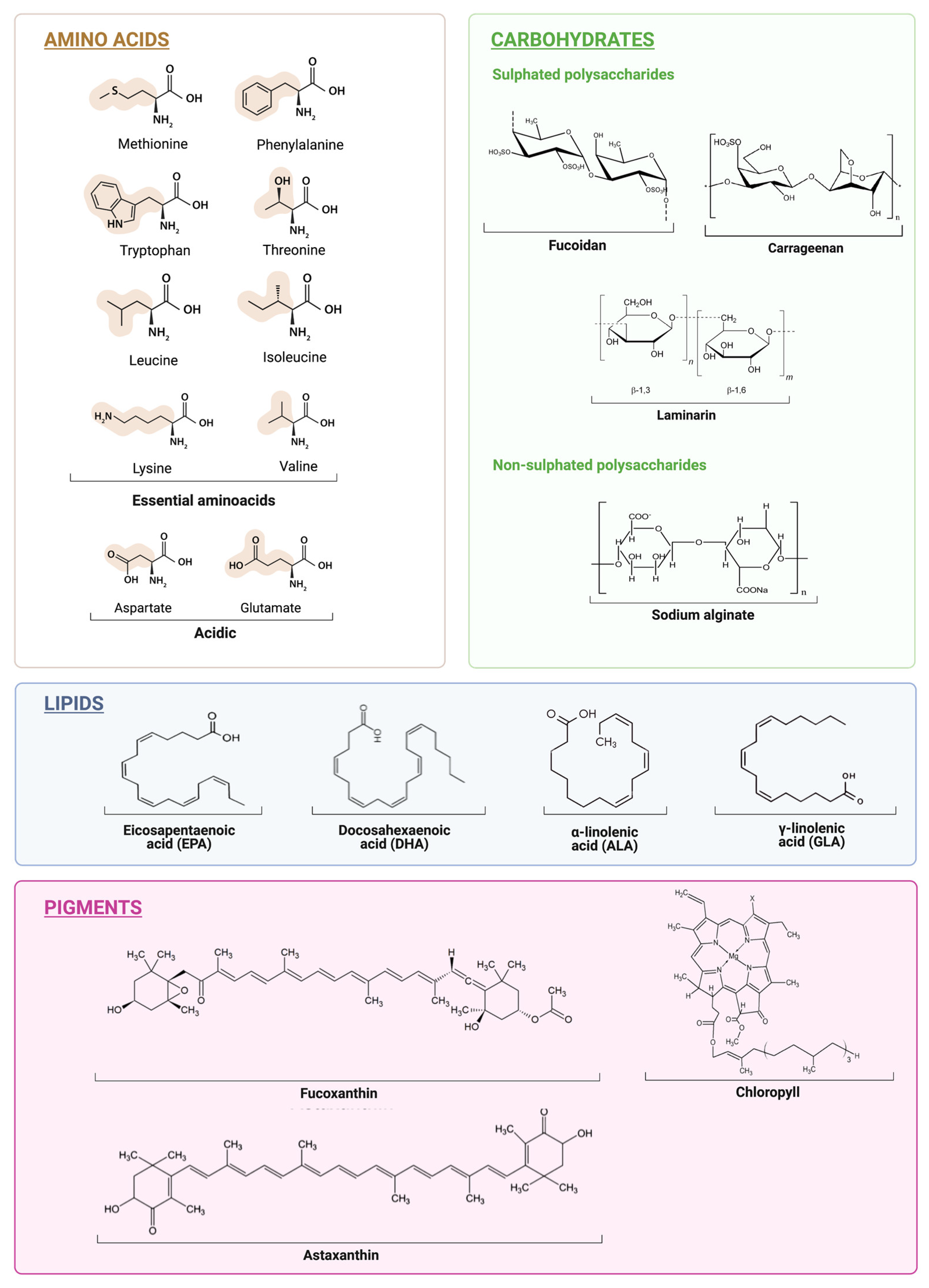 Antioxidants 12 00612 g001 Antioxidants 12 00612 g001
