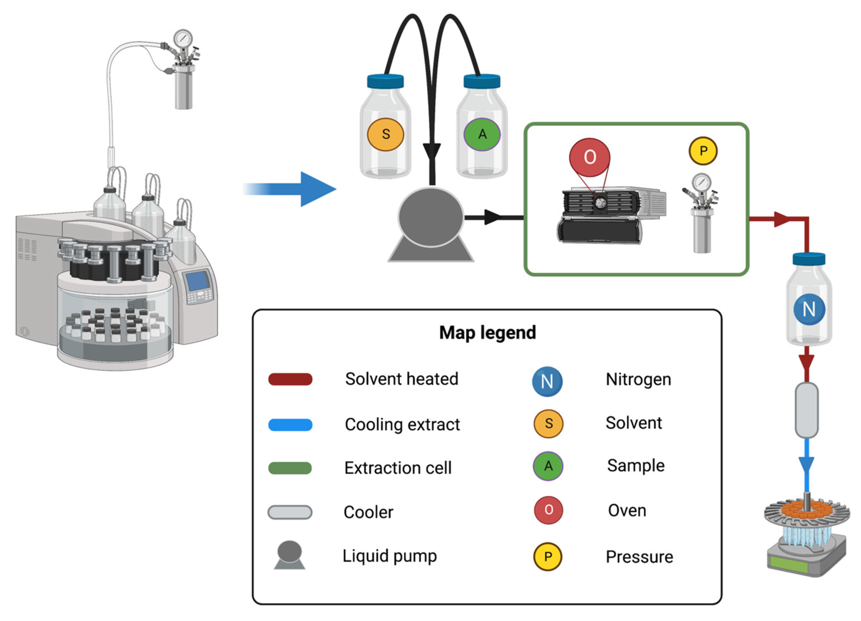 Antioxidants 12 00612 g003 Antioxidants 12 00612 g003