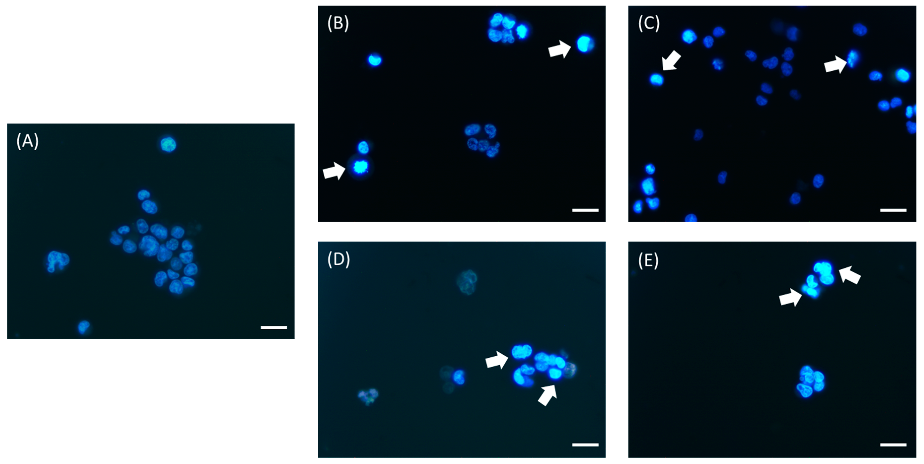 Antioxidants 12 00615 g012
