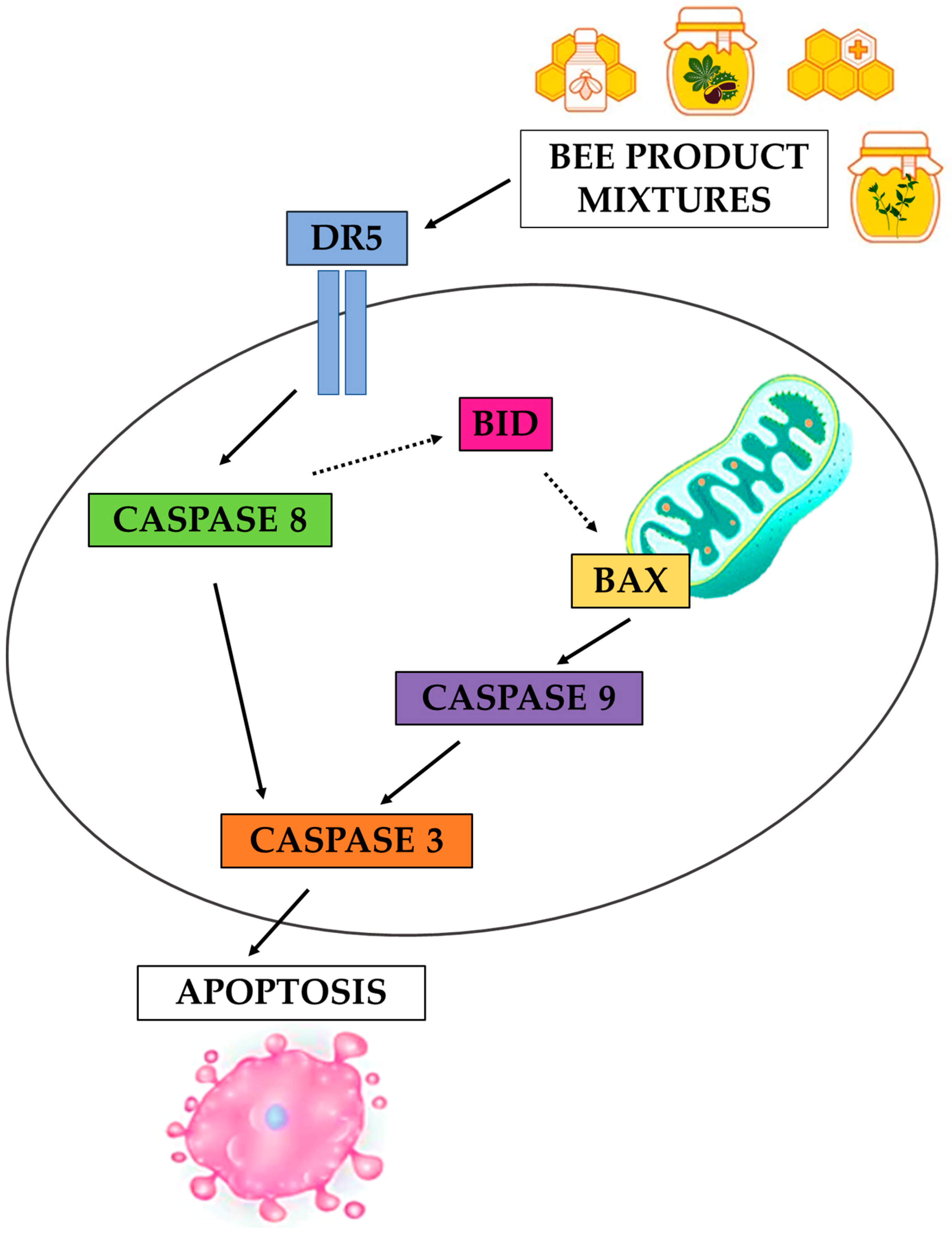 Antioxidants 12 00615 g013