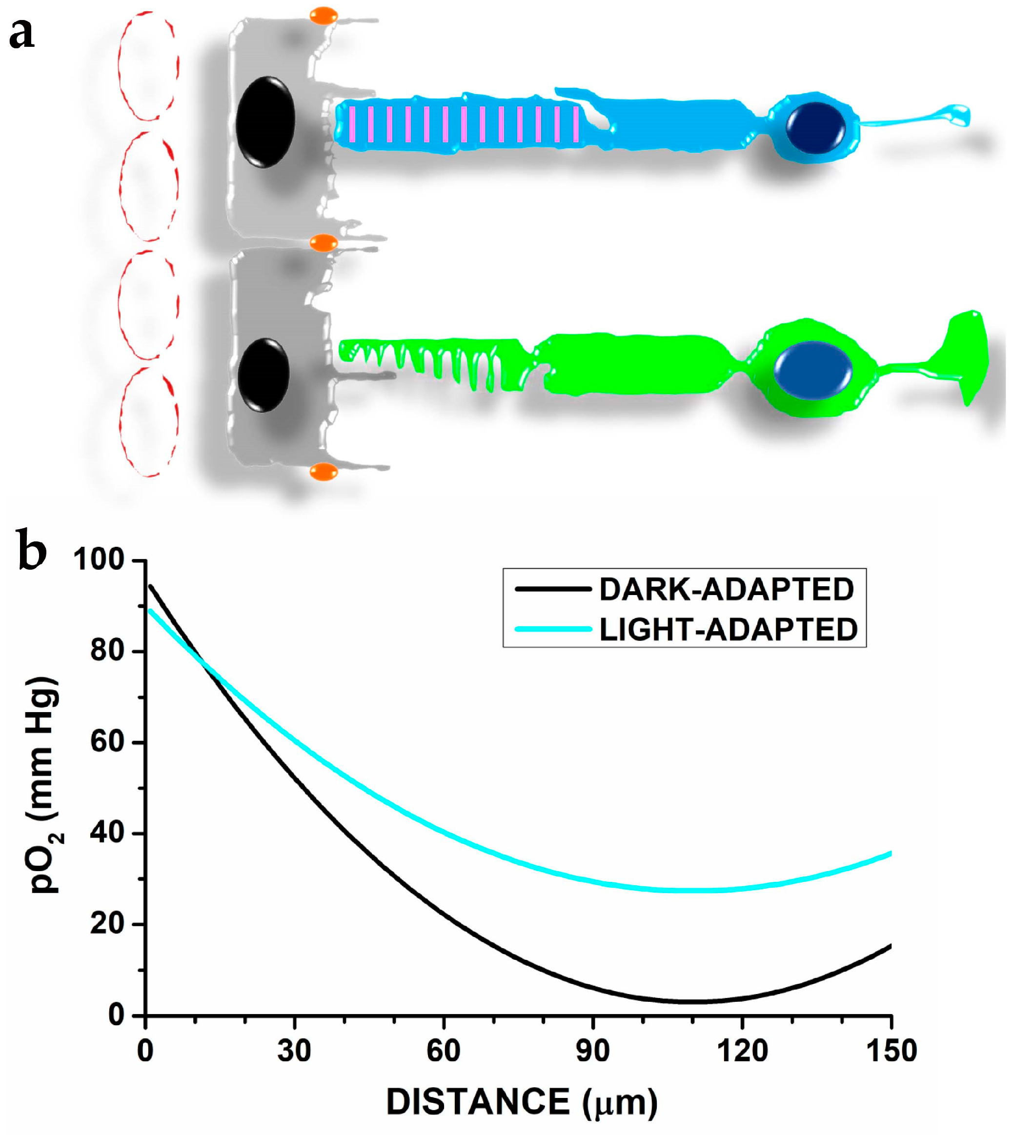 Antioxidants 12 00617 g002 Antioxidants 12 00617 g002
