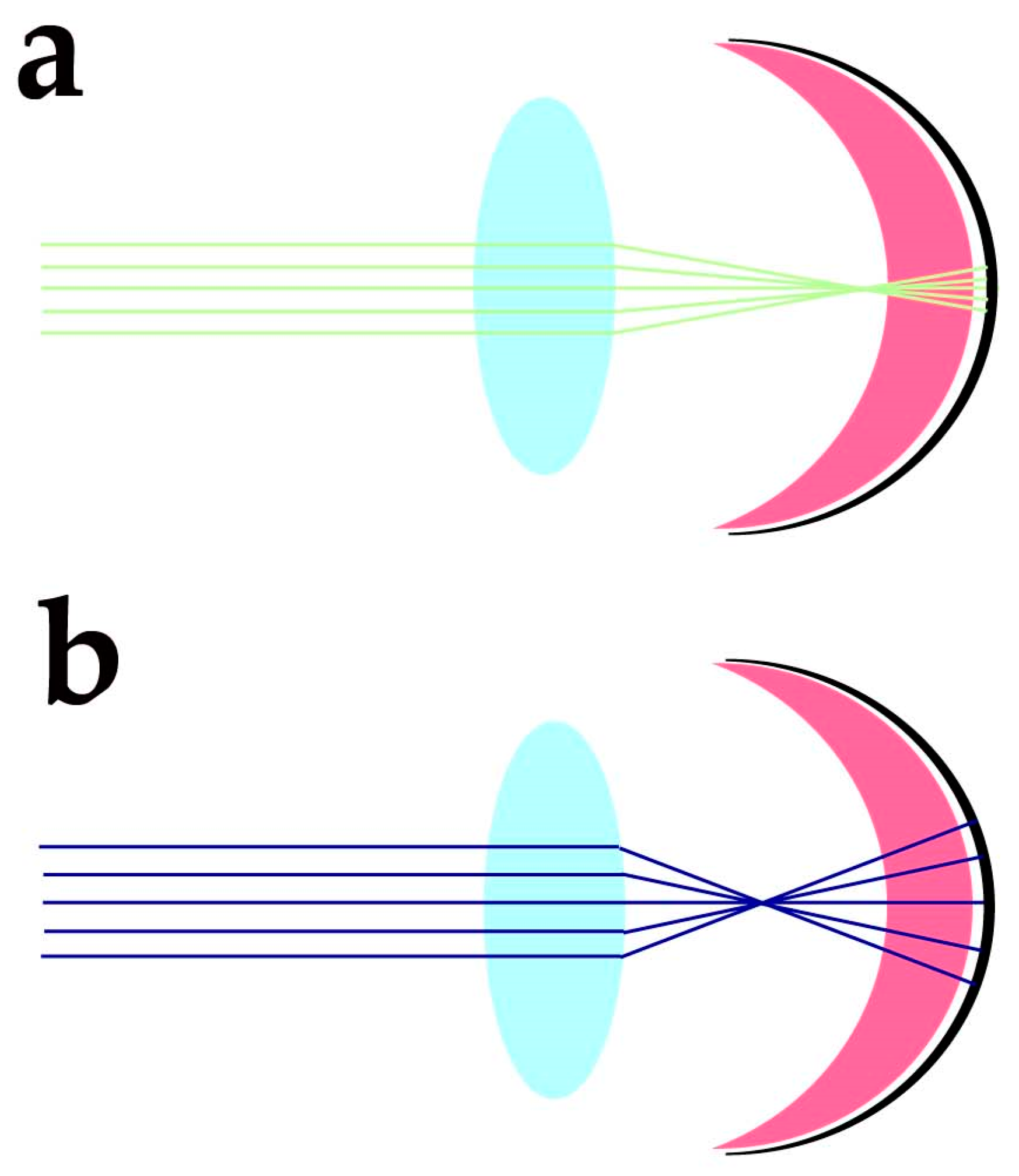 Antioxidants 12 00617 g004 Antioxidants 12 00617 g004