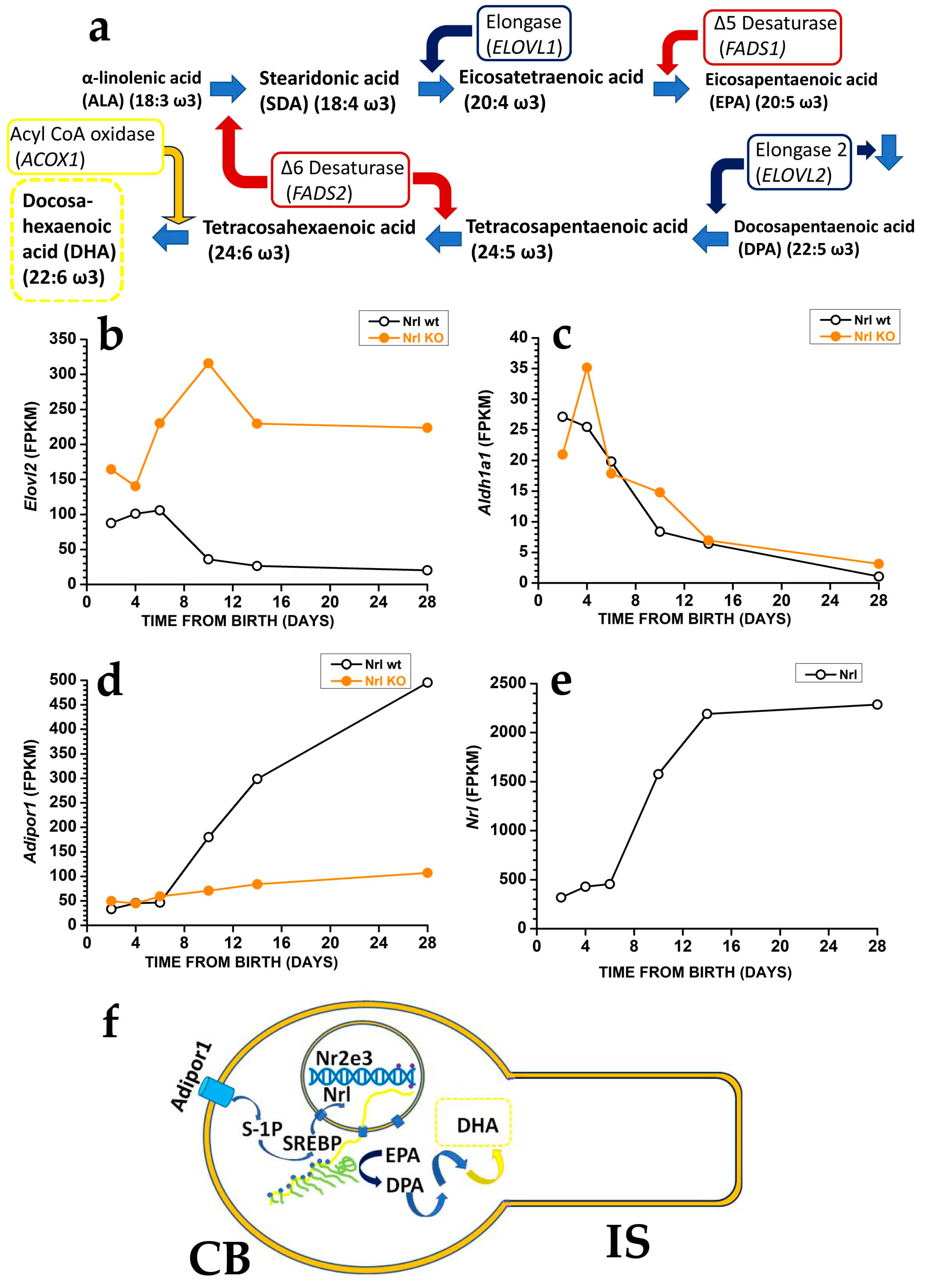 Antioxidants 12 00617 g005 Antioxidants 12 00617 g005