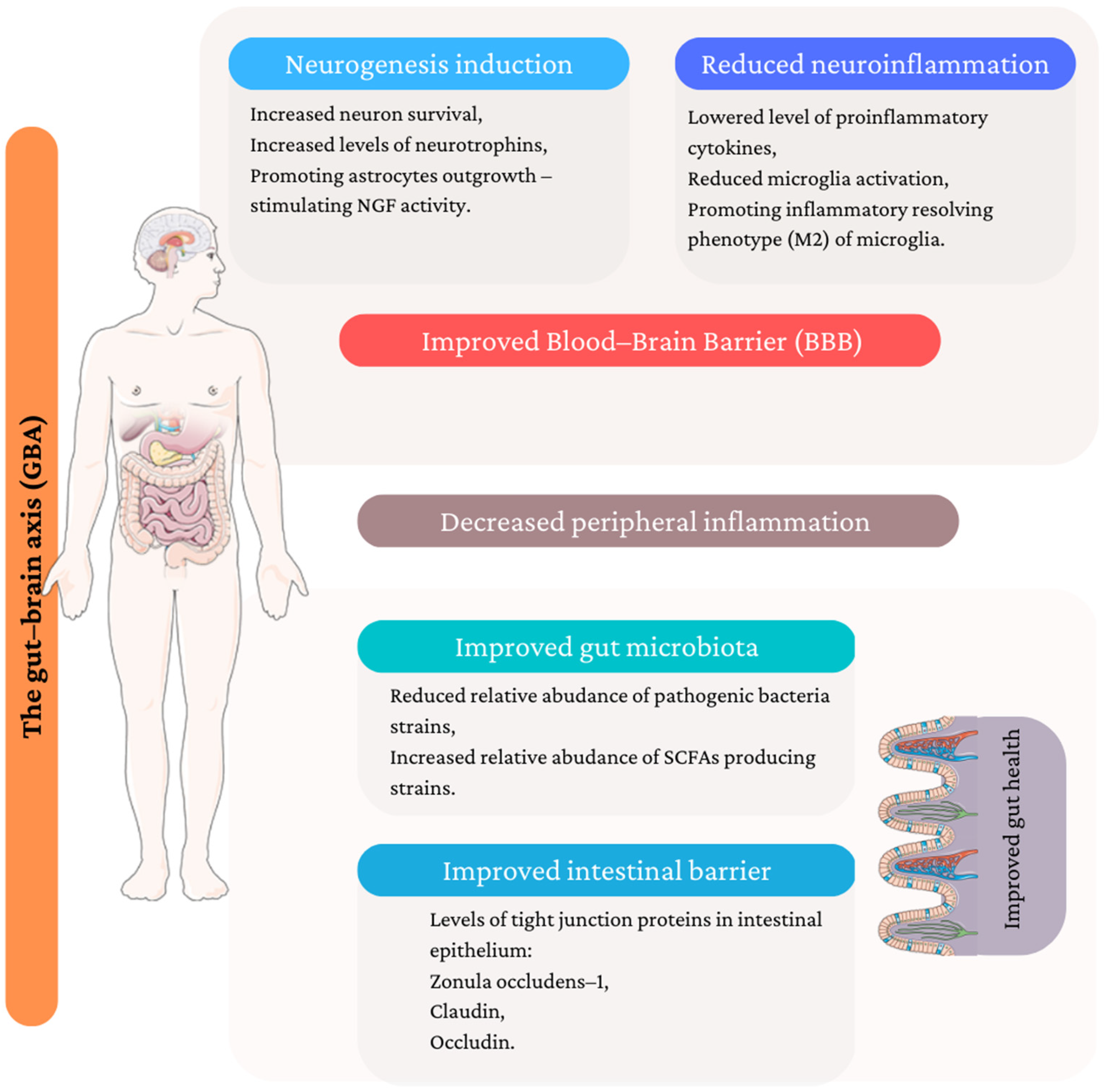 Antioxidants 12 00623 g002 Antioxidants 12 00623 g002