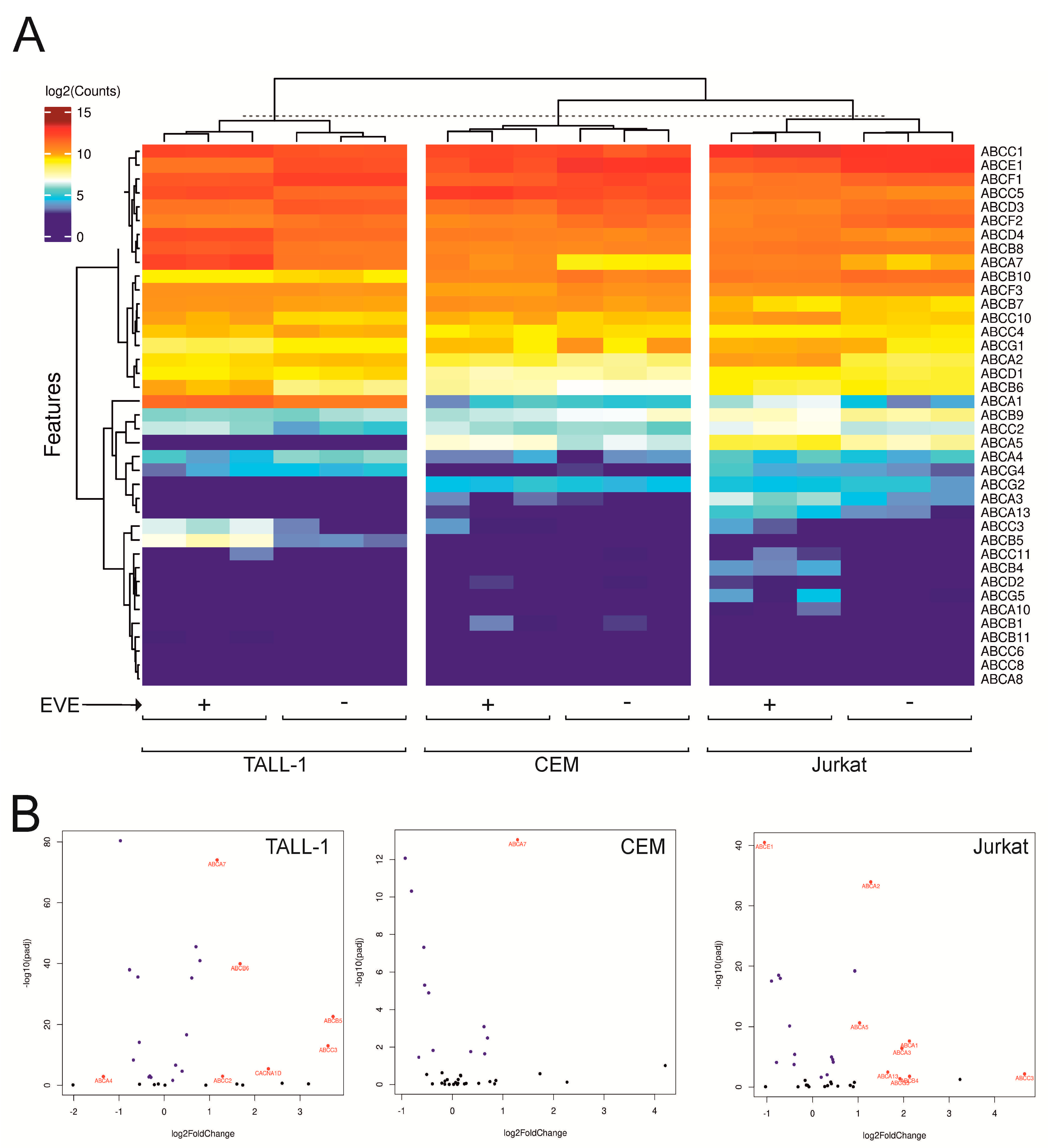 Antioxidants 12 00625 g001