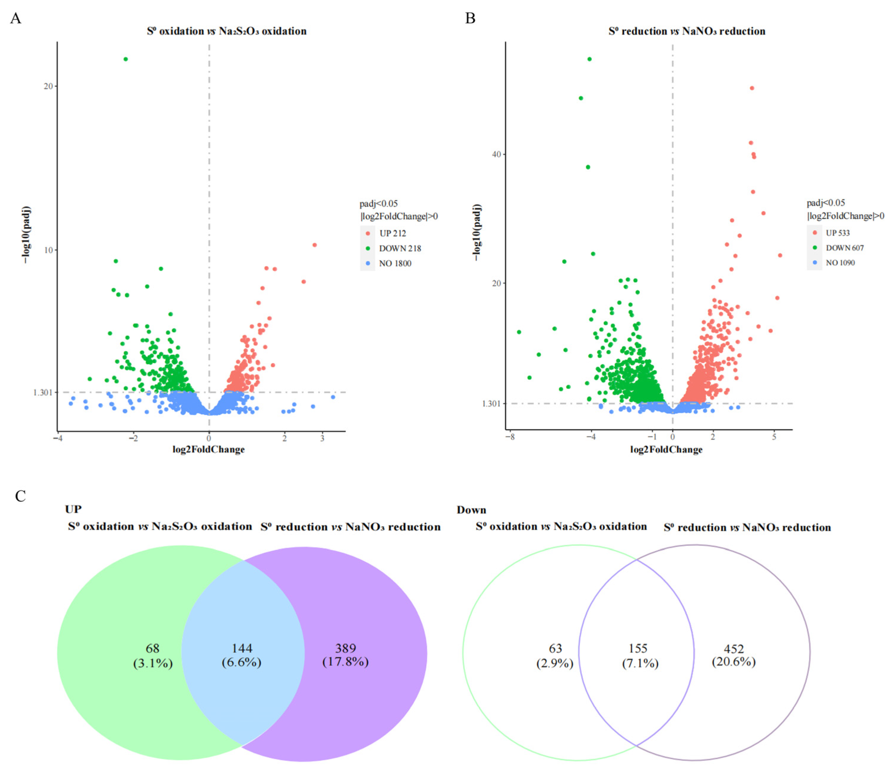 Antioxidants 12 00627 g002