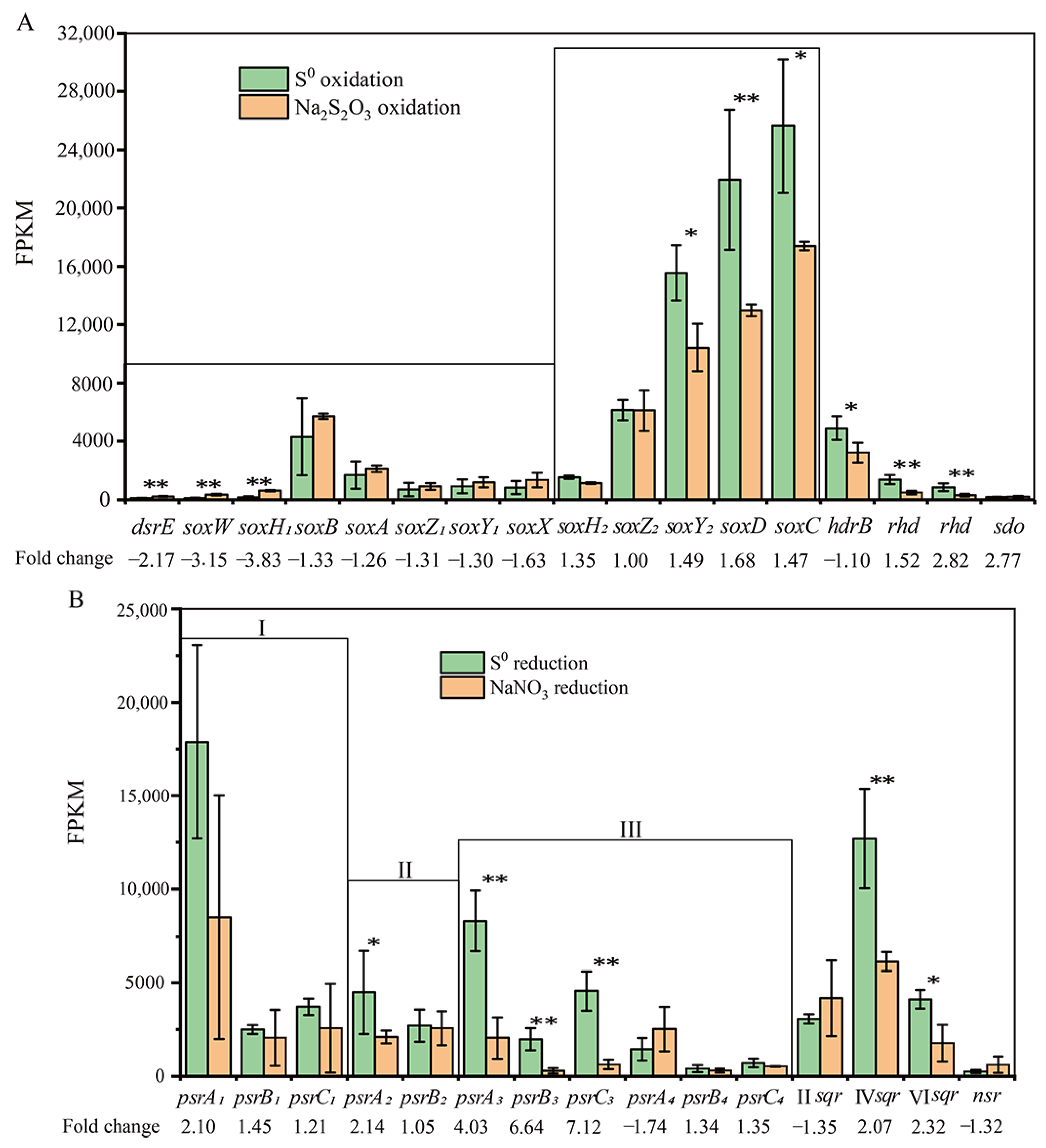 Antioxidants 12 00627 g006