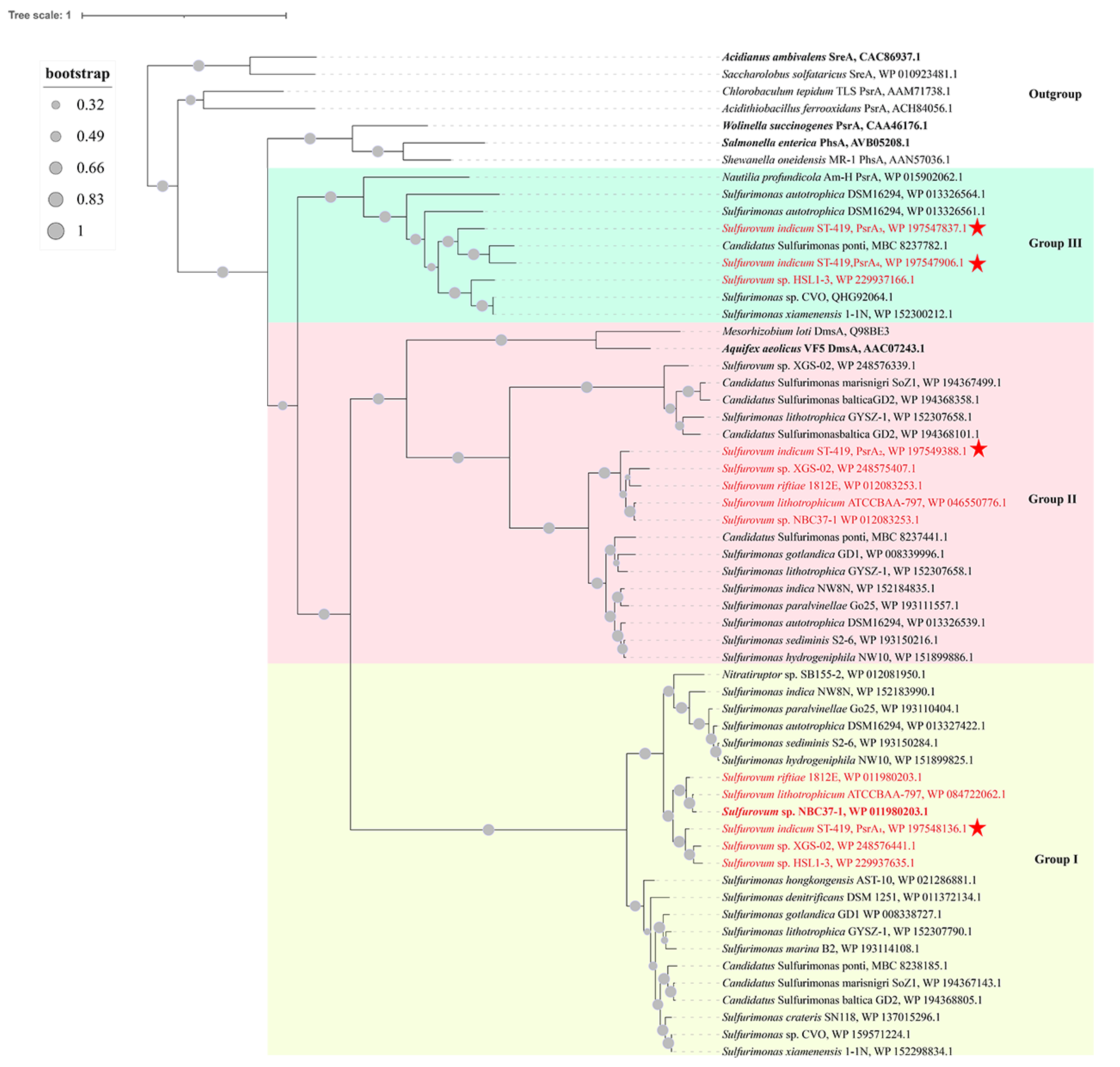 Antioxidants 12 00627 g007