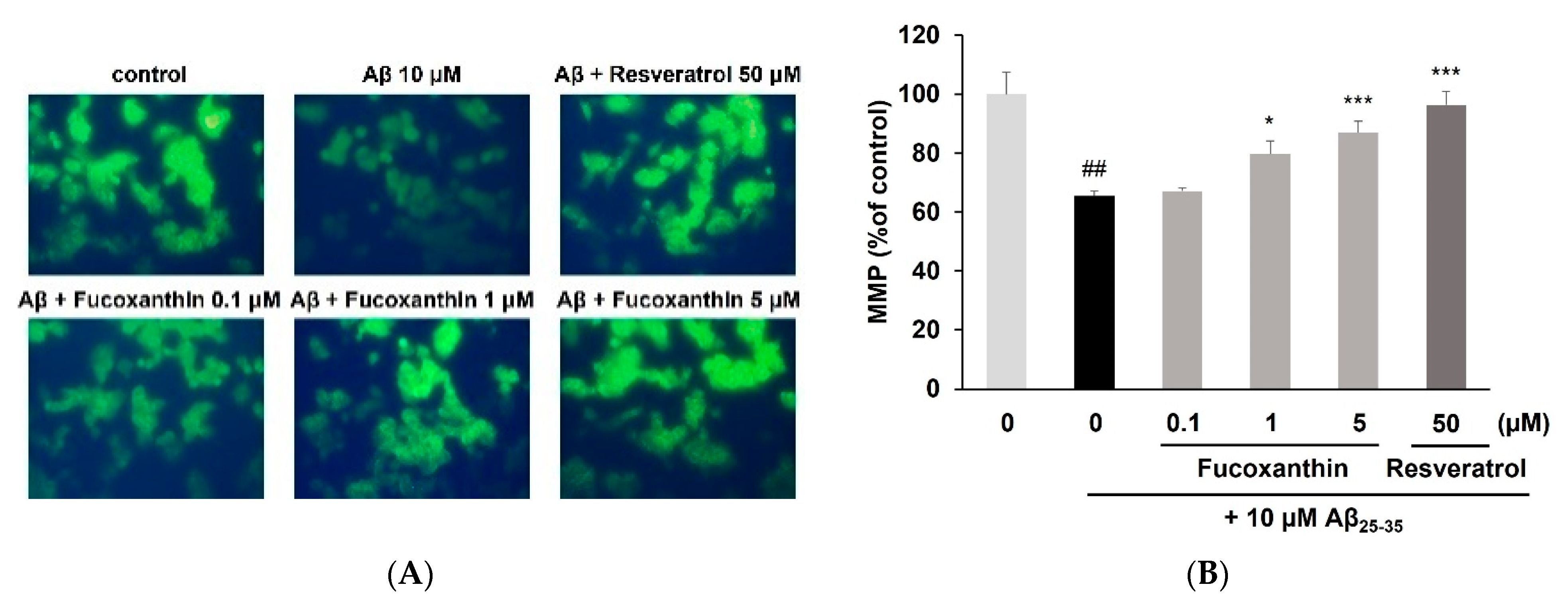 Antioxidants 12 00629 g002a