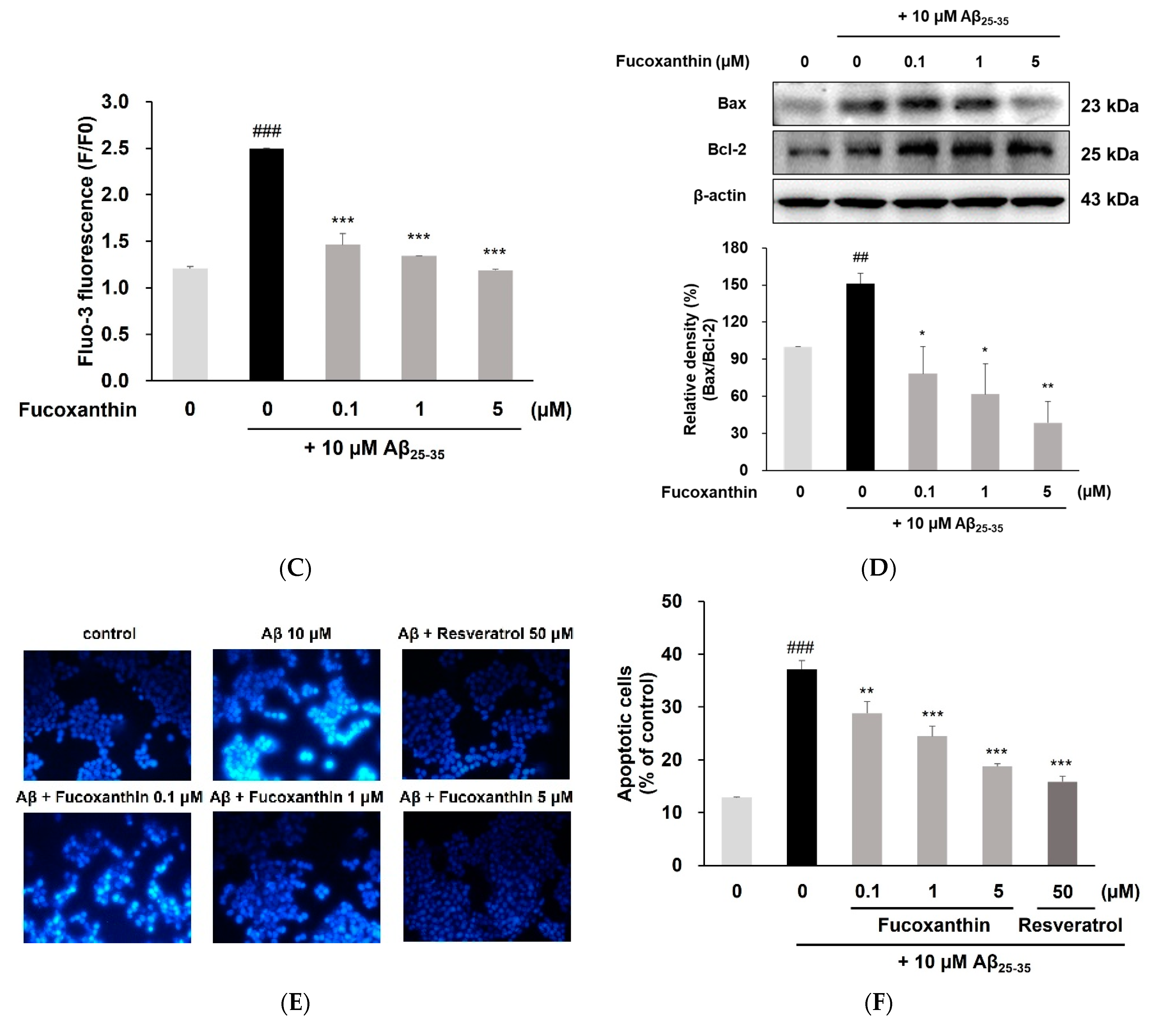 Antioxidants 12 00629 g002b