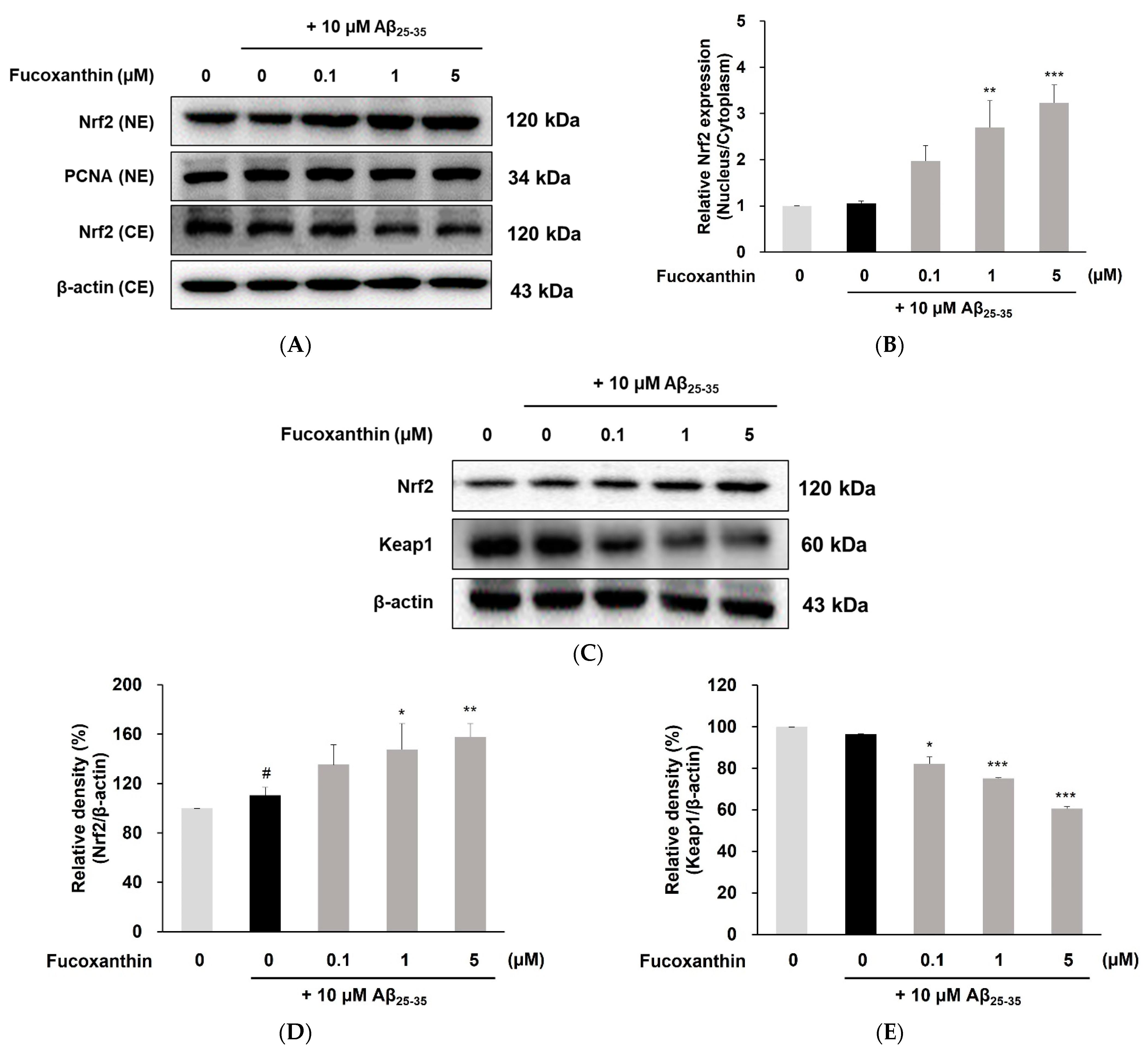 Antioxidants 12 00629 g003a