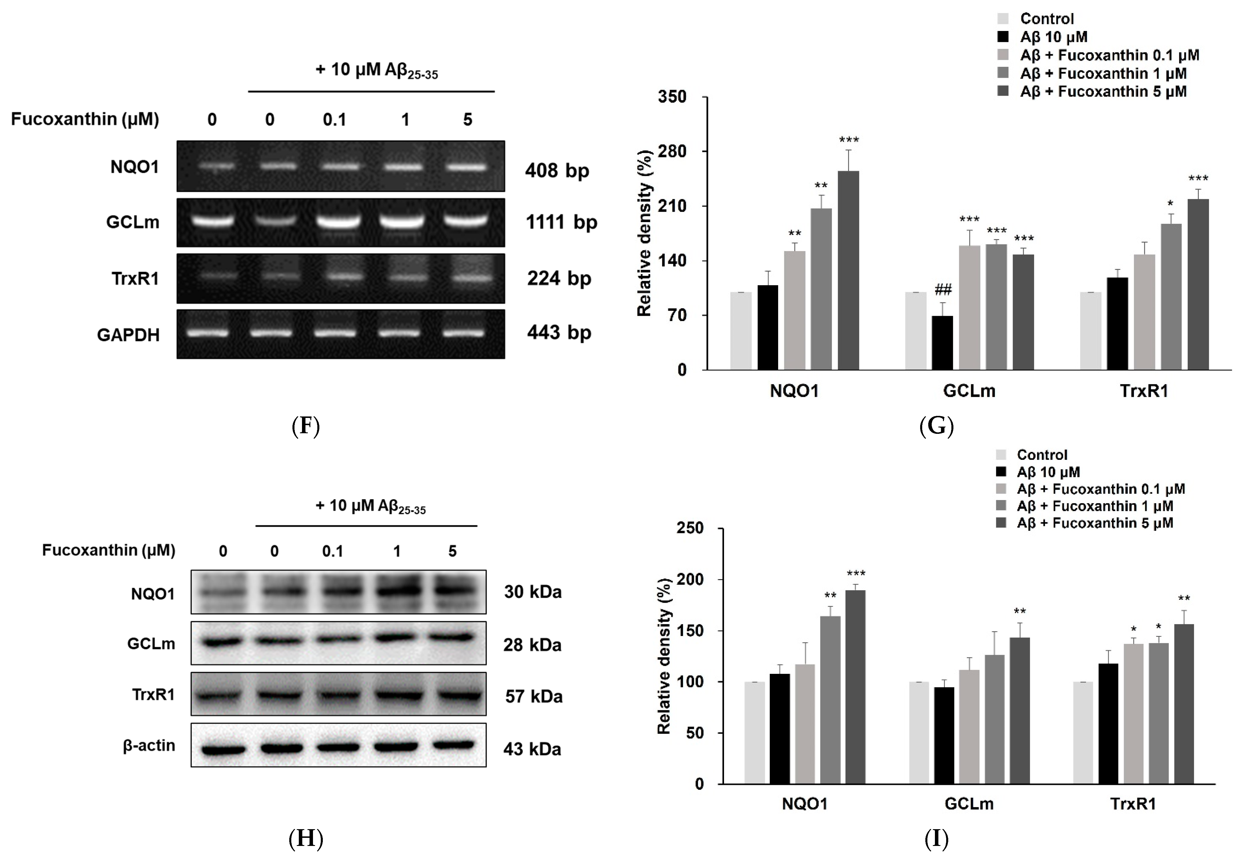 Antioxidants 12 00629 g003b