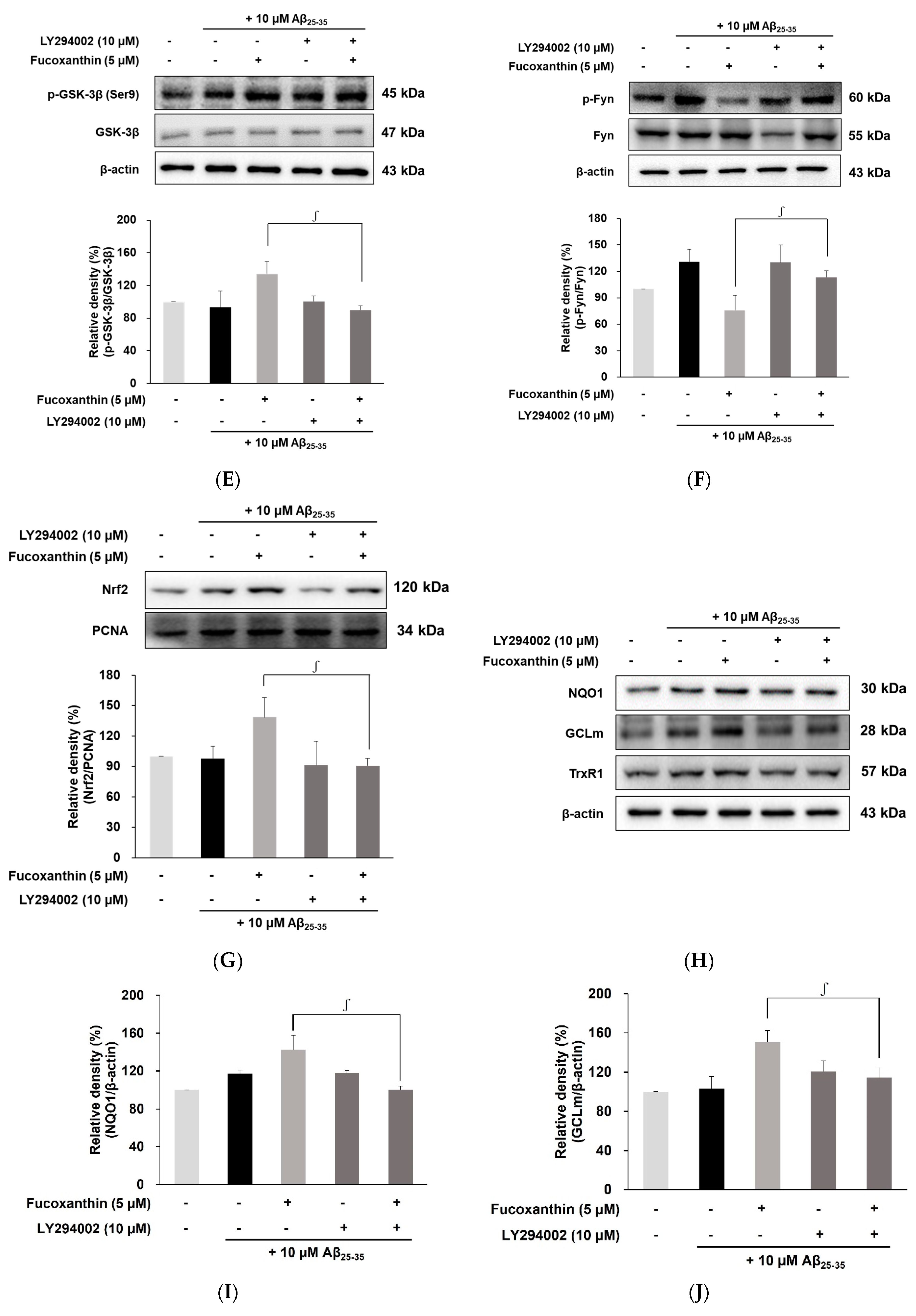 Antioxidants 12 00629 g004b