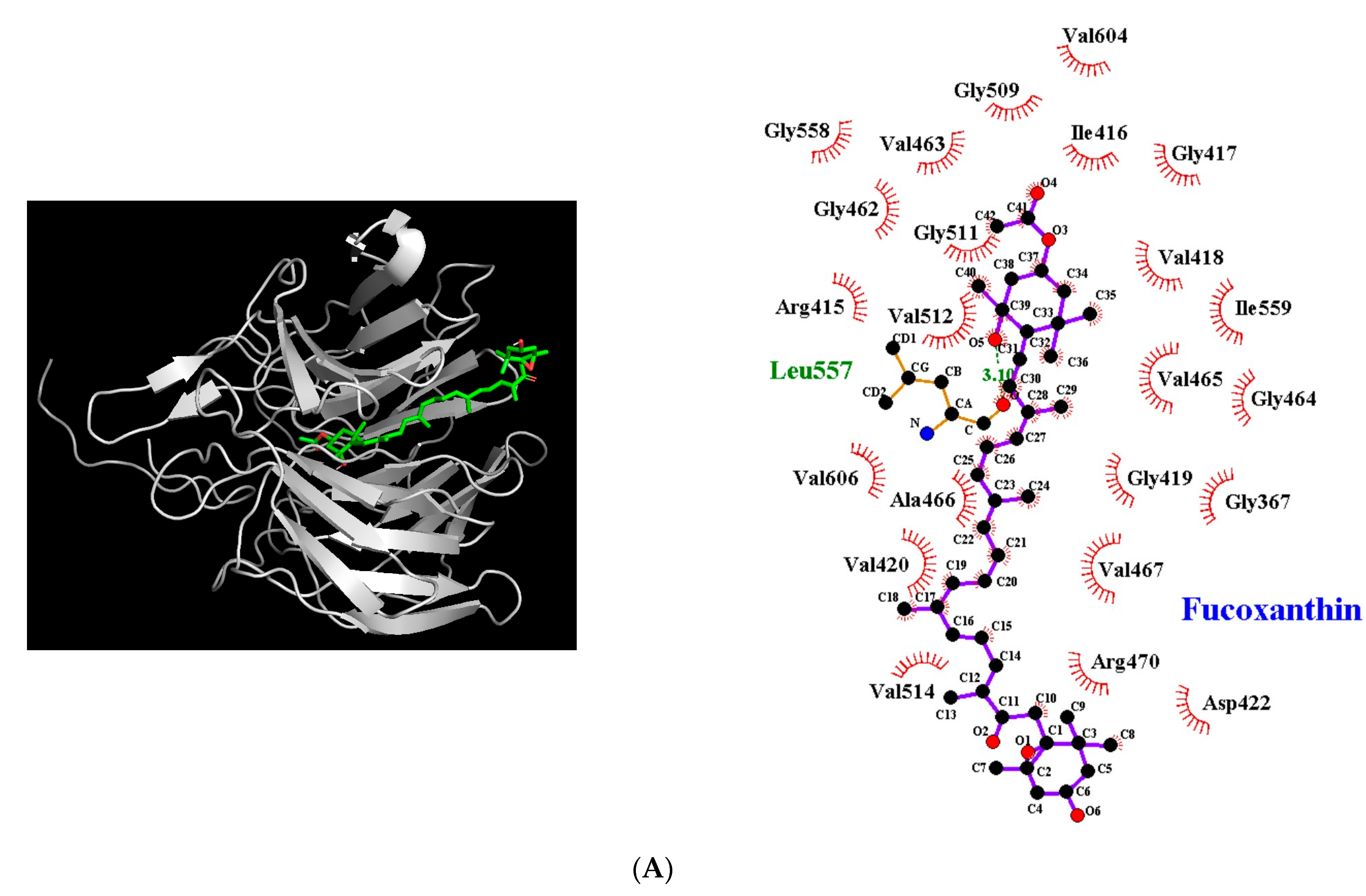 Antioxidants 12 00629 g005a