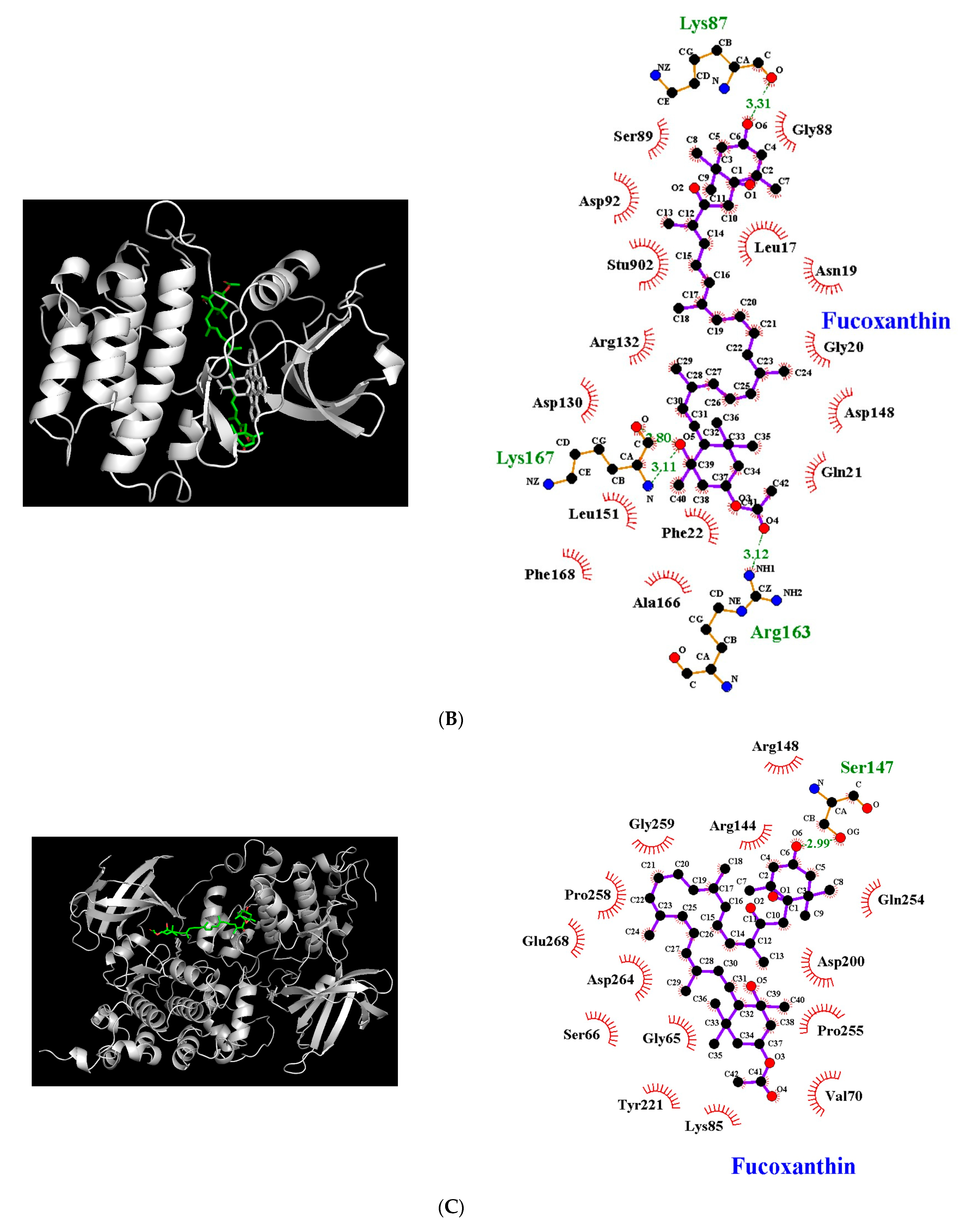 Antioxidants 12 00629 g005b