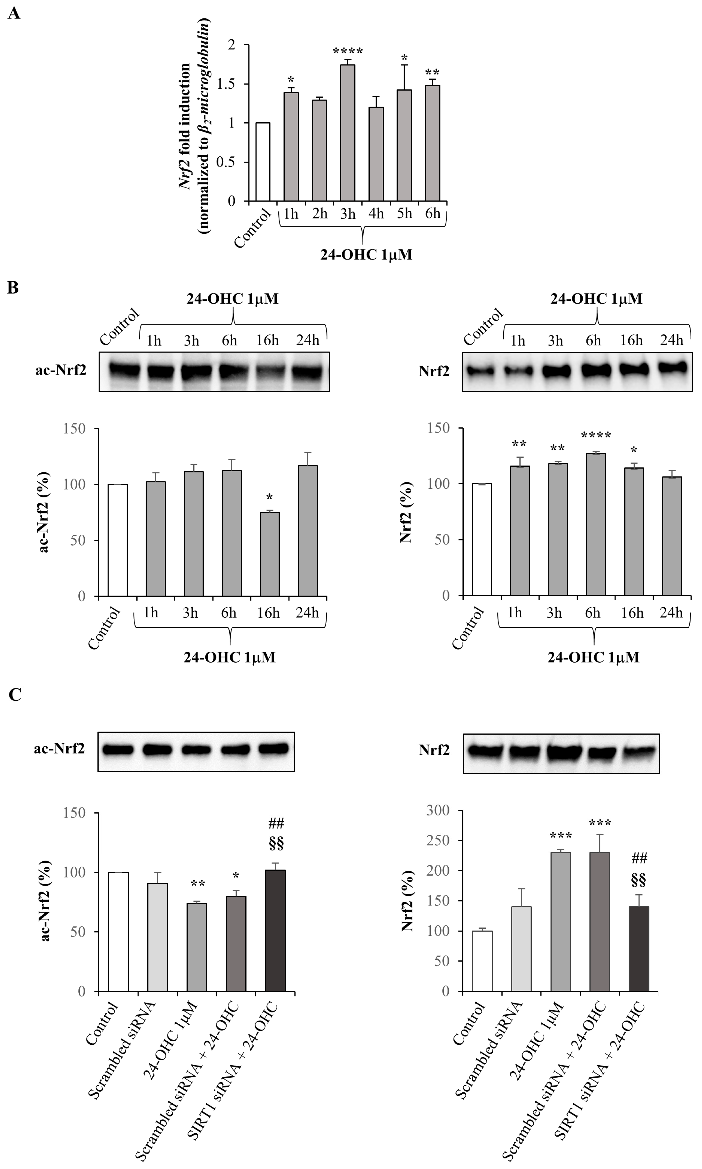 Antioxidants 12 00631 g002 Antioxidants 12 00631 g002