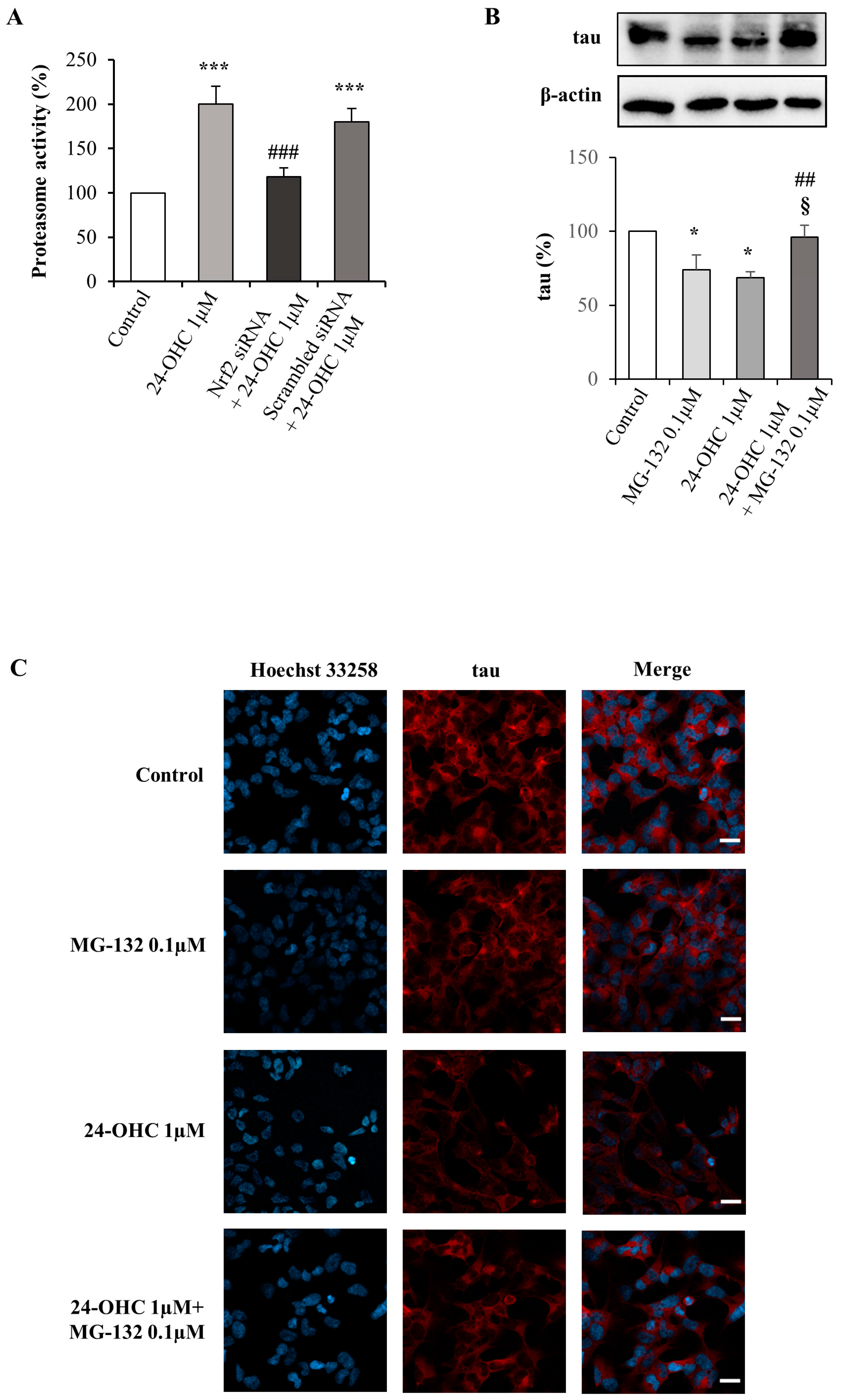 Antioxidants 12 00631 g006 Antioxidants 12 00631 g006