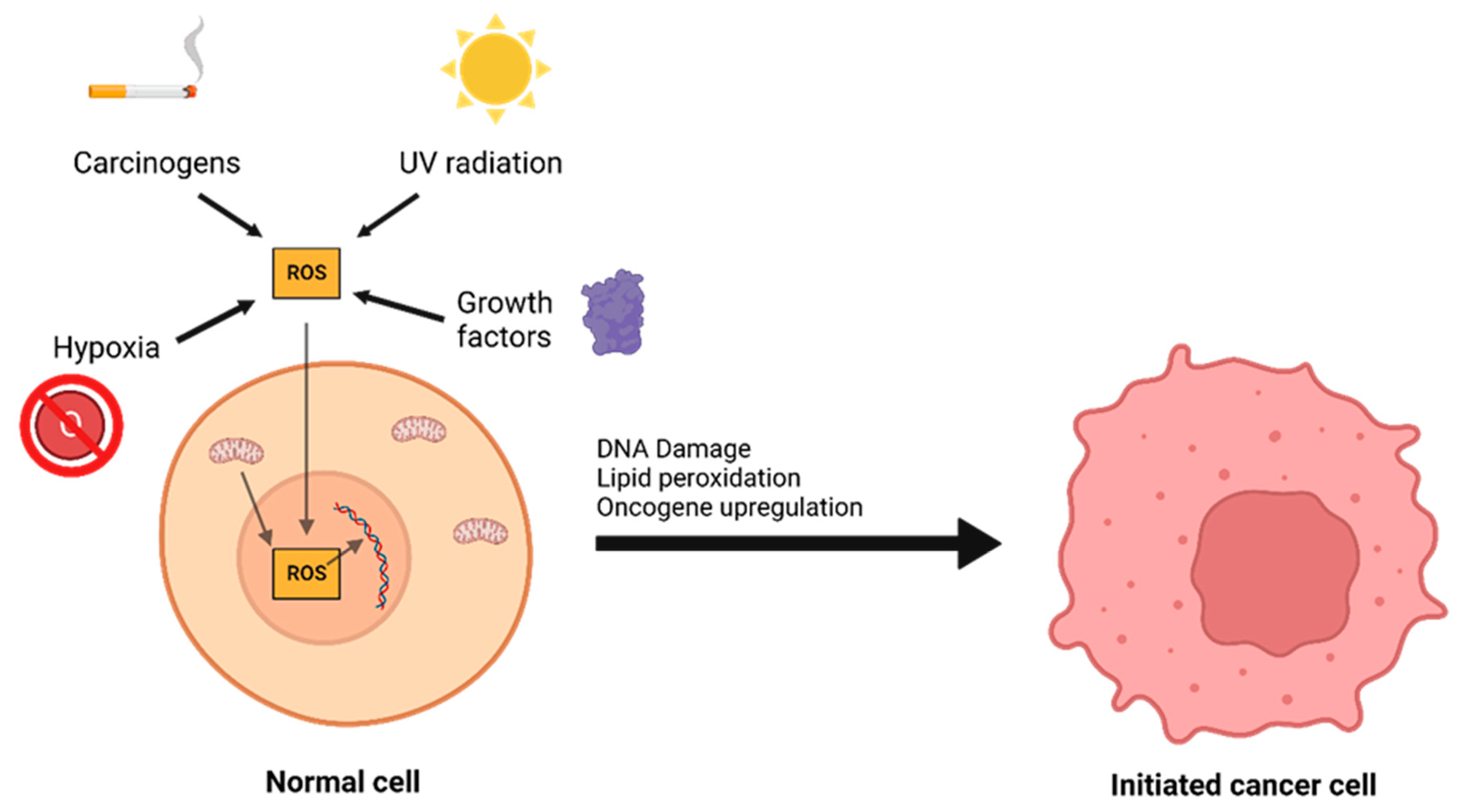 Antioxidants 12 00632 g002