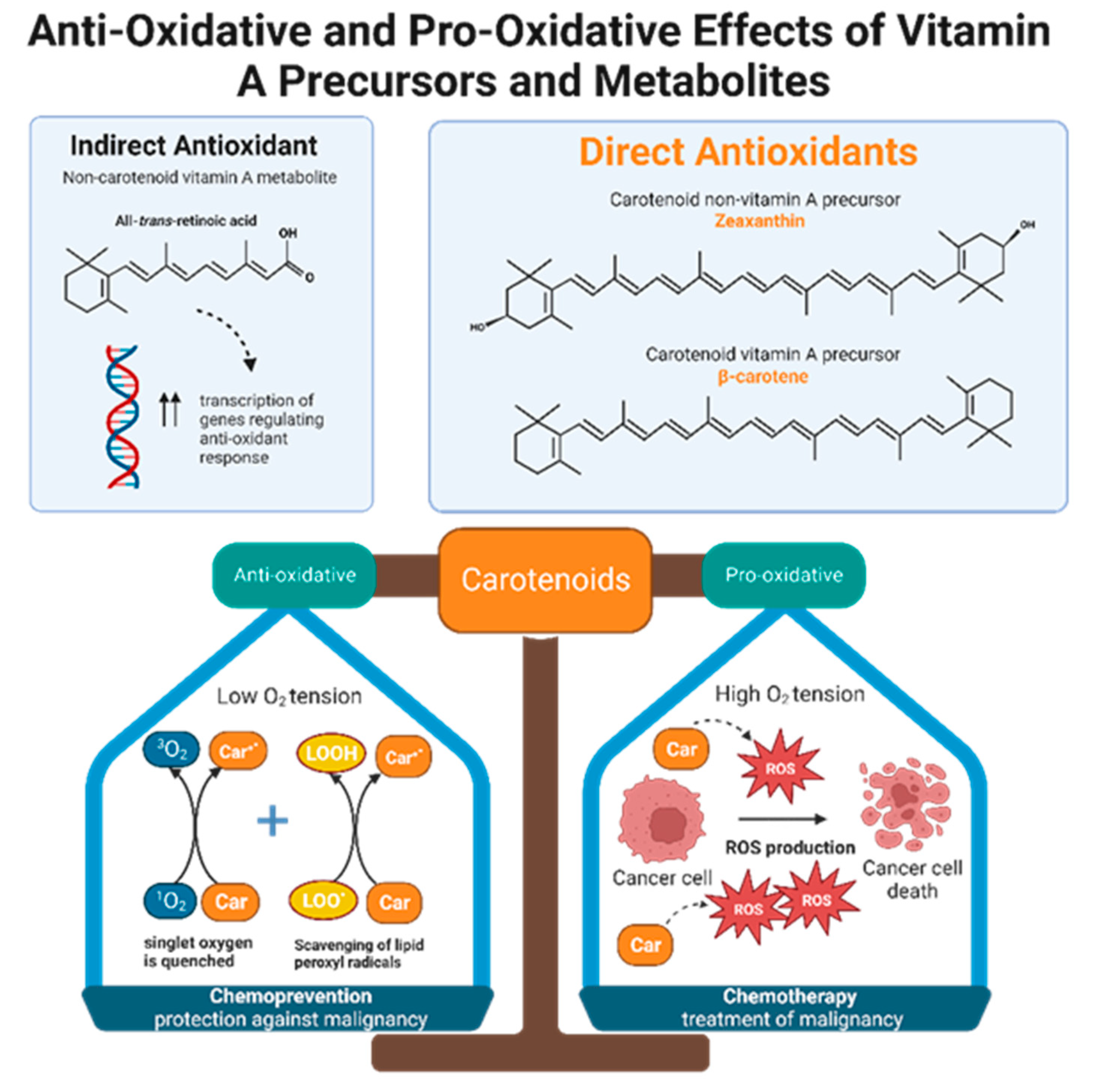 Antioxidants 12 00632 g003
