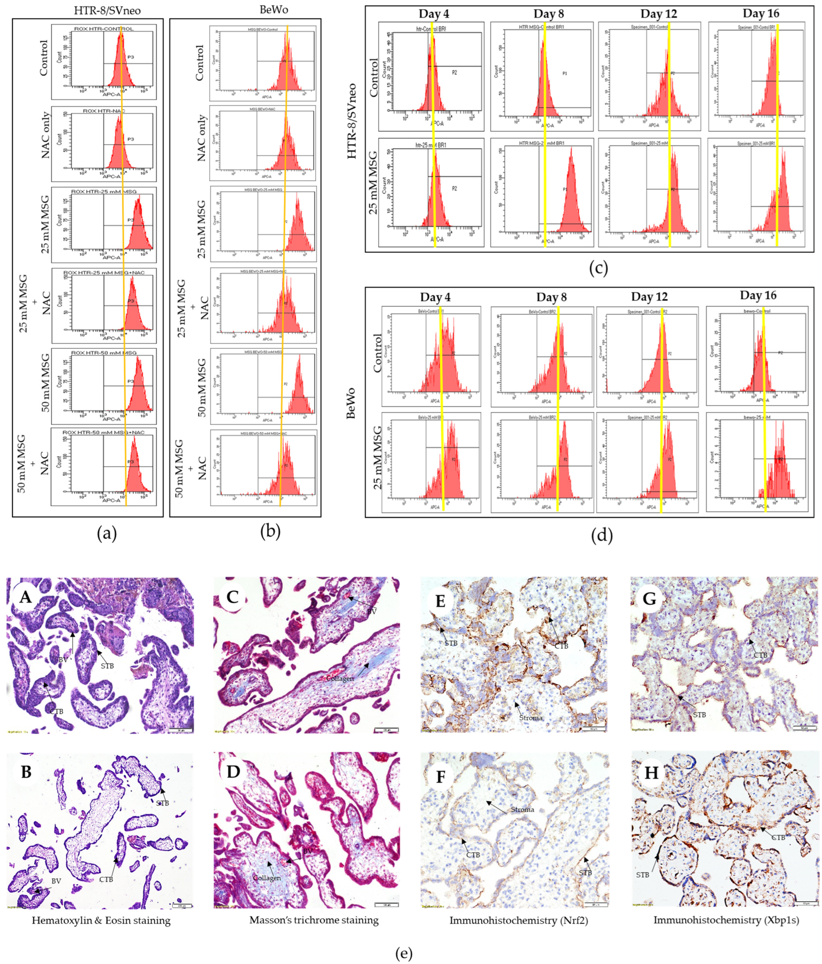 Antioxidants 12 00634 g009