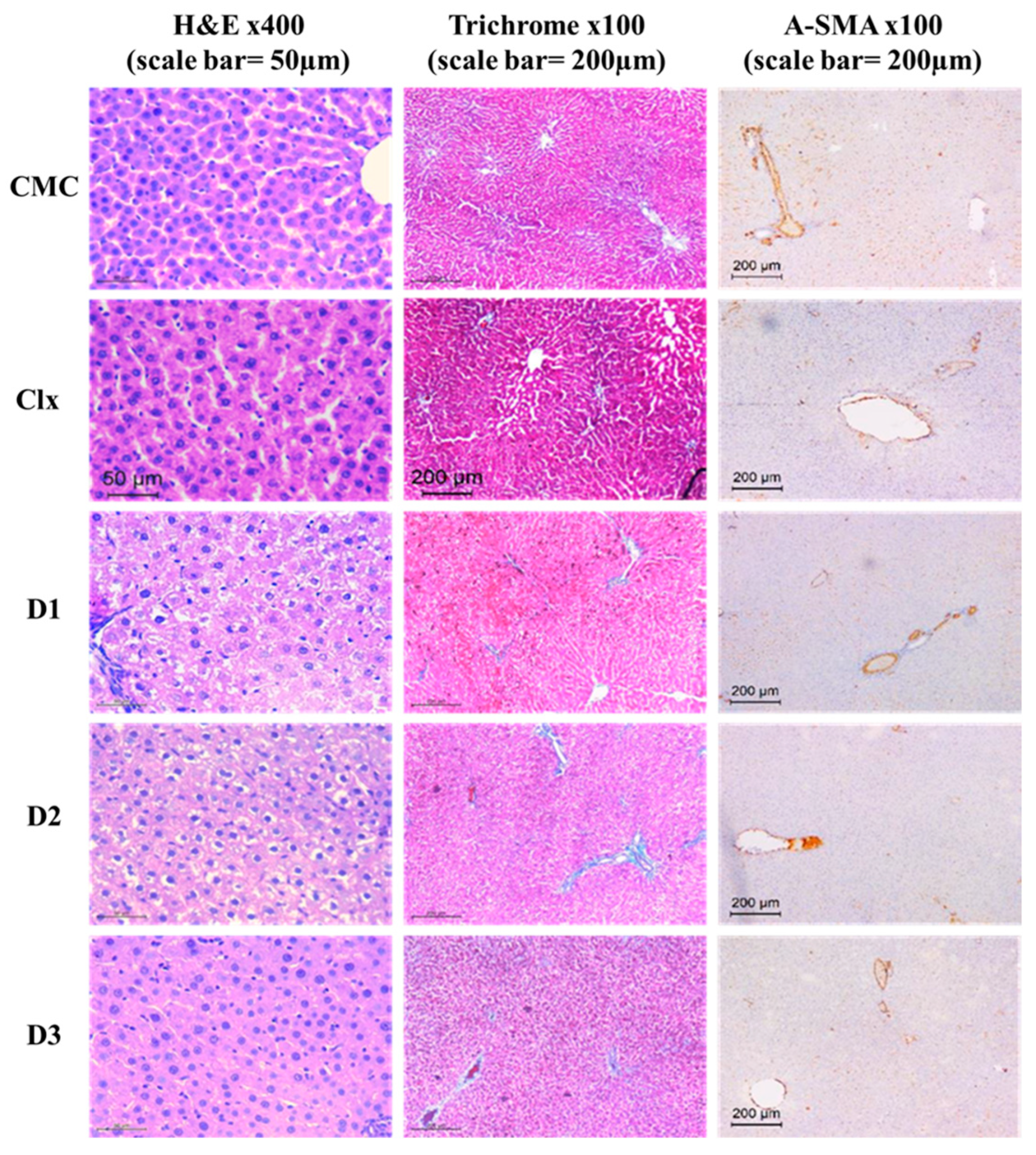 Antioxidants 12 00637 g002