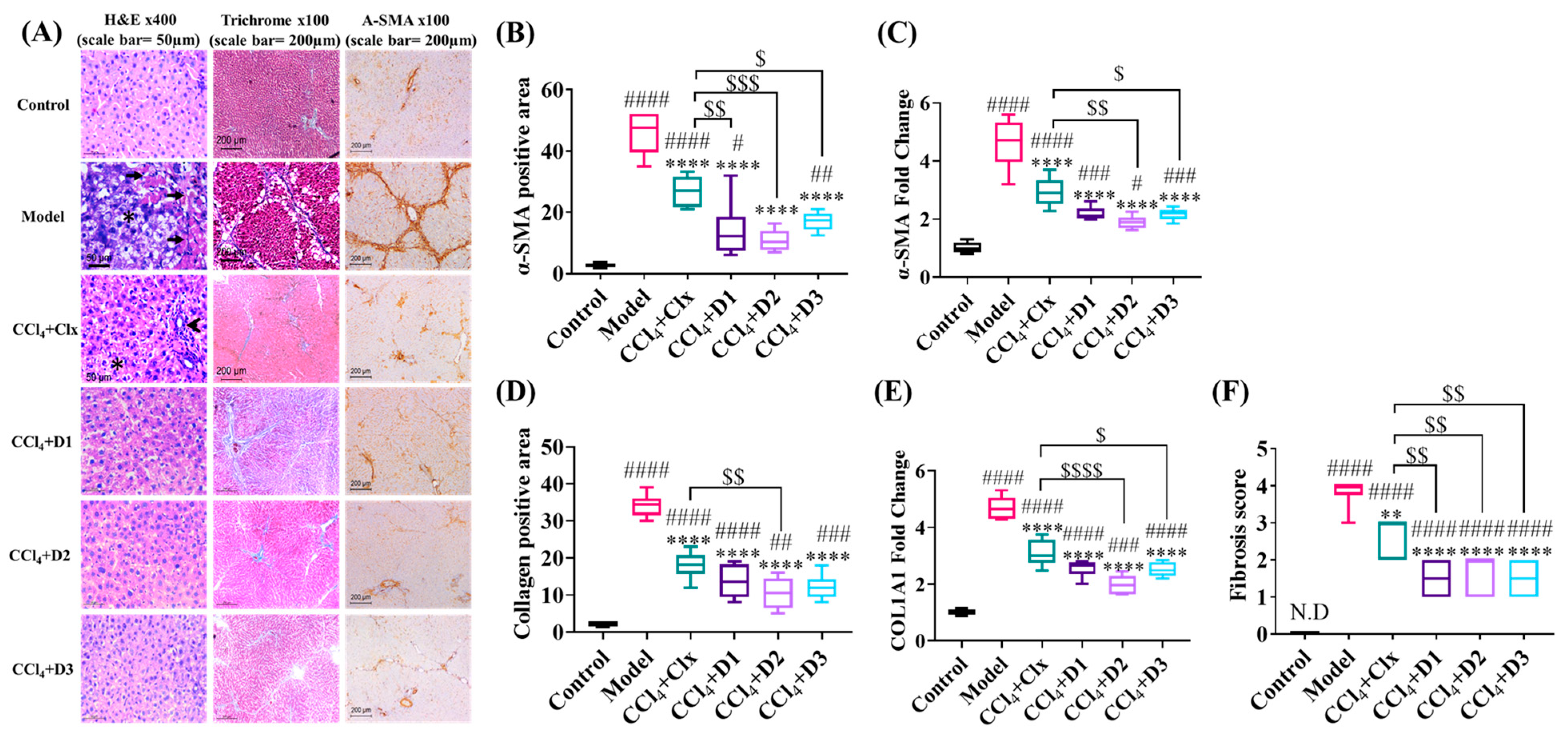 Antioxidants 12 00637 g003
