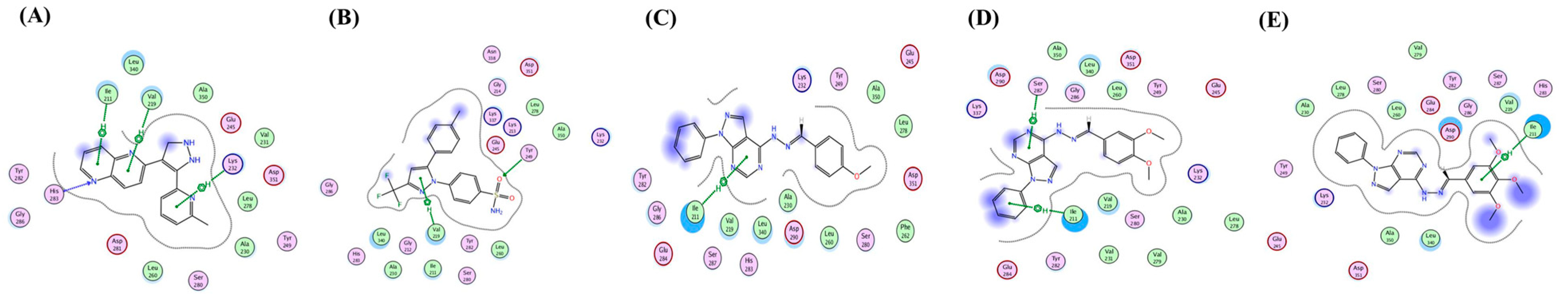 Antioxidants 12 00637 g008