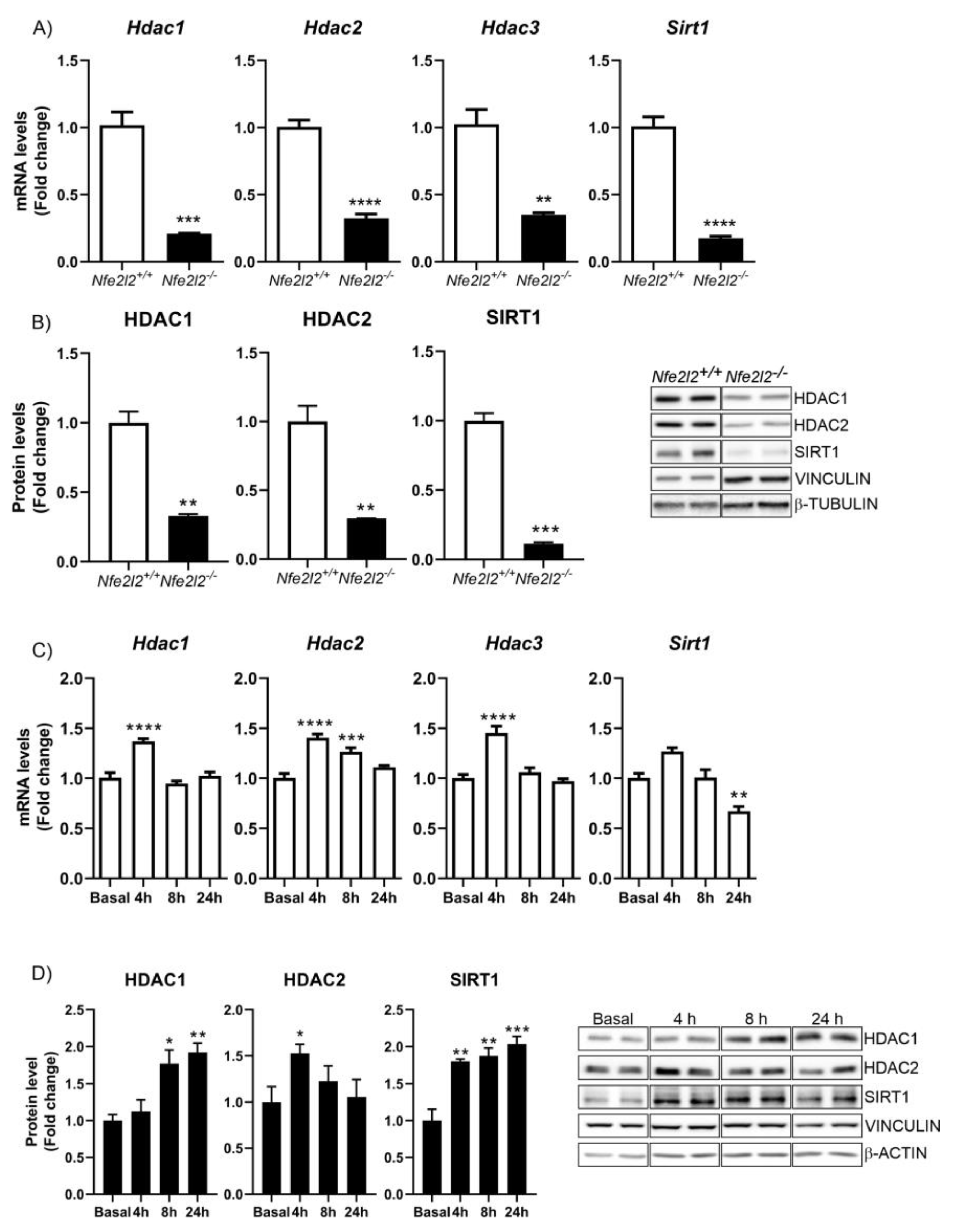 Antioxidants 12 00641 g001