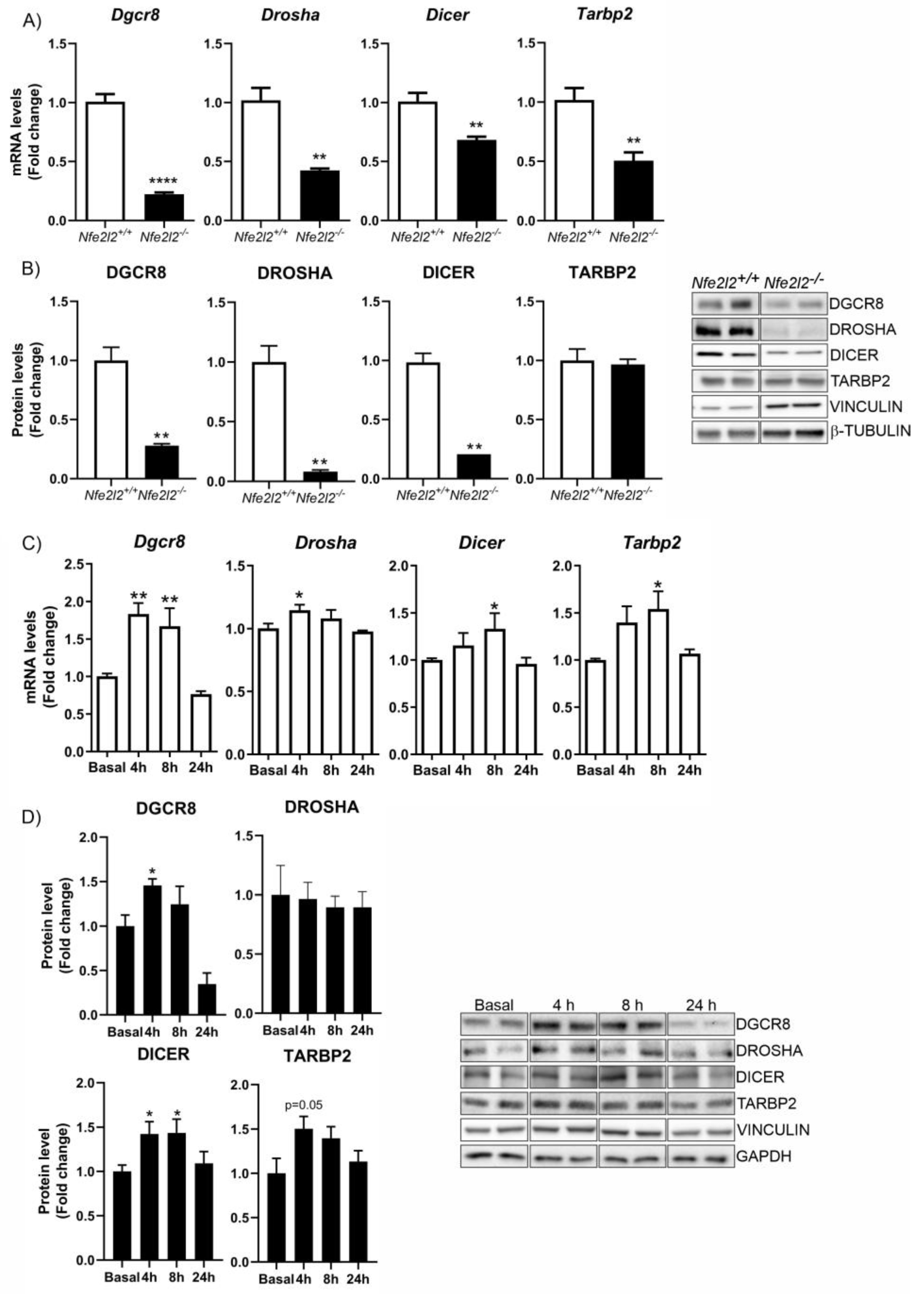 Antioxidants 12 00641 g003
