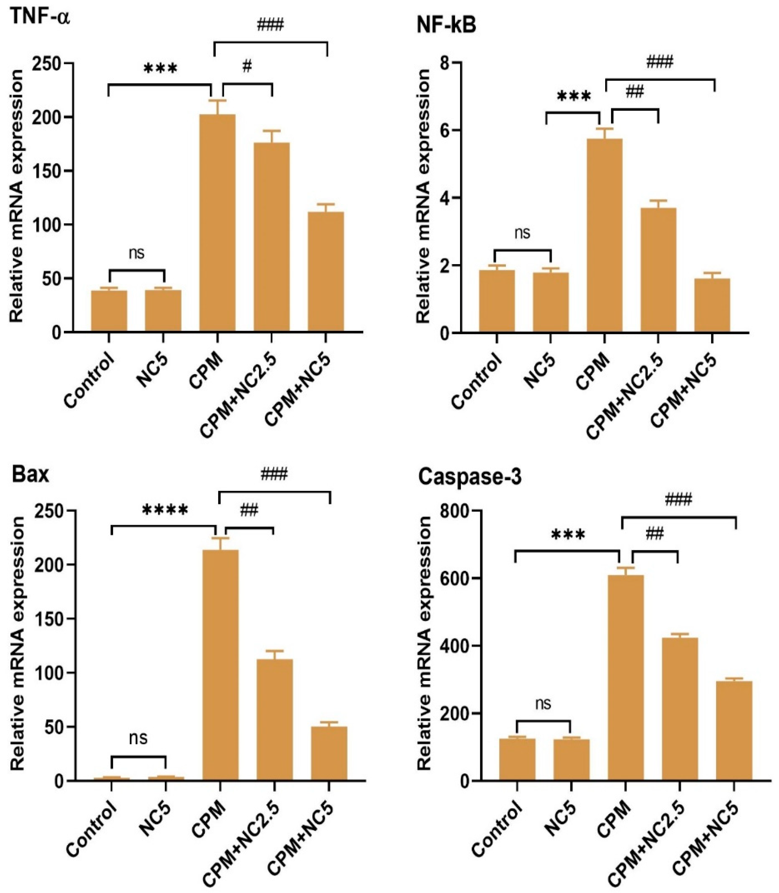 Antioxidants 12 00644 g004