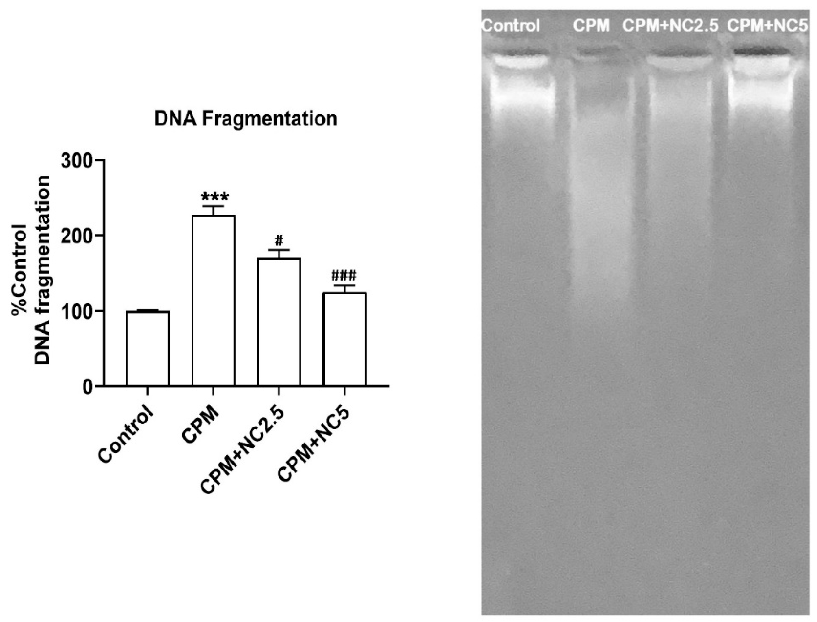 Antioxidants 12 00644 g006