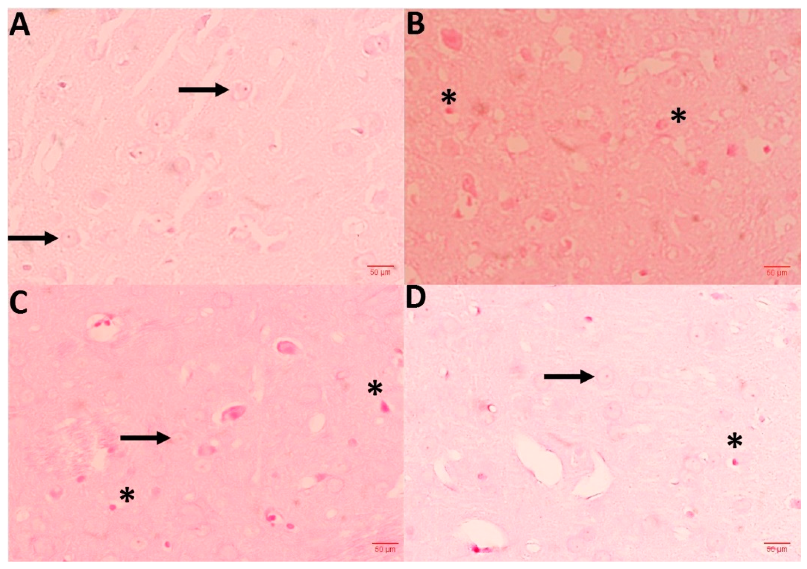 Antioxidants 12 00644 g007