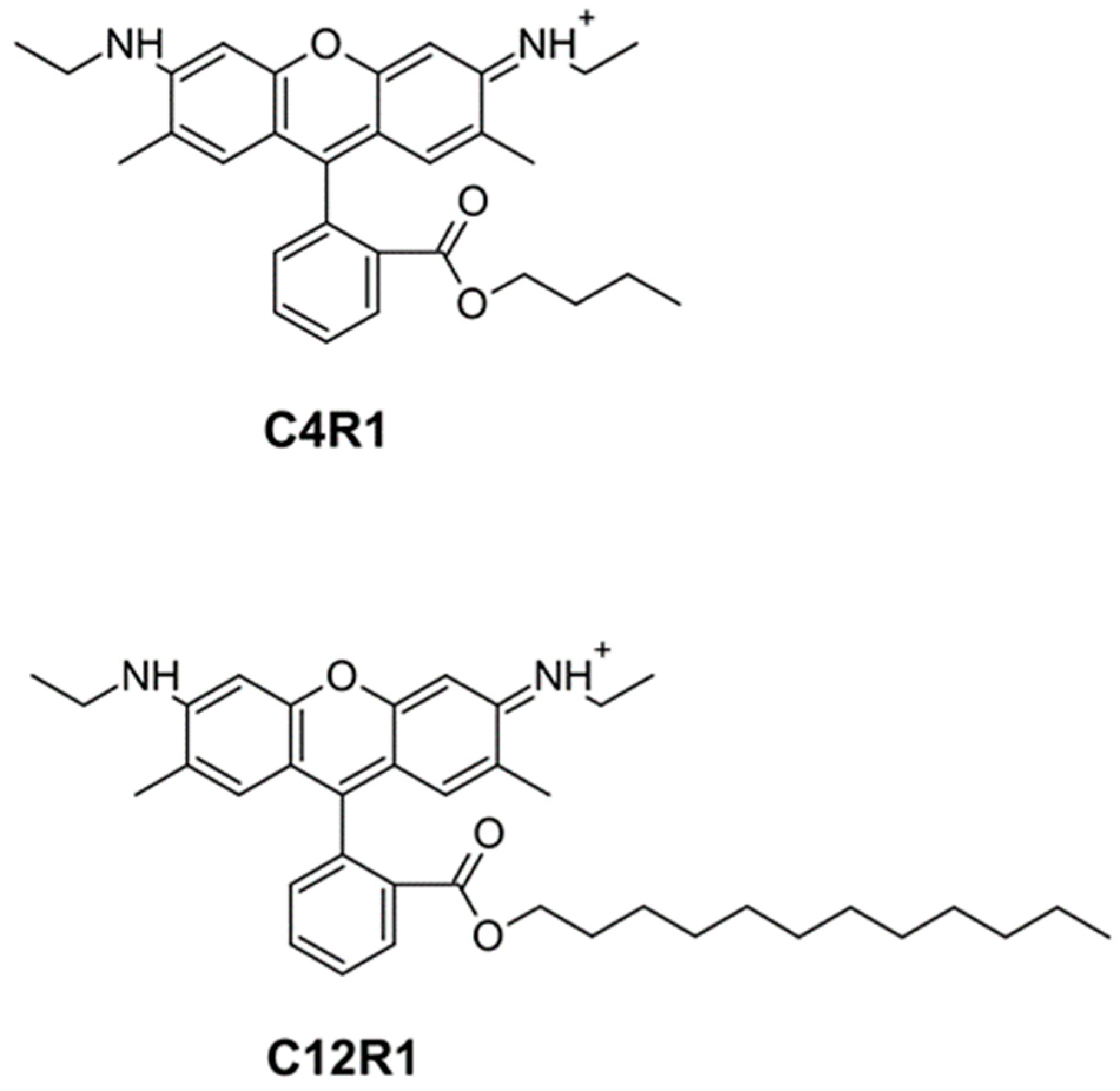 Antioxidants 12 00646 g001 Antioxidants 12 00646 g001