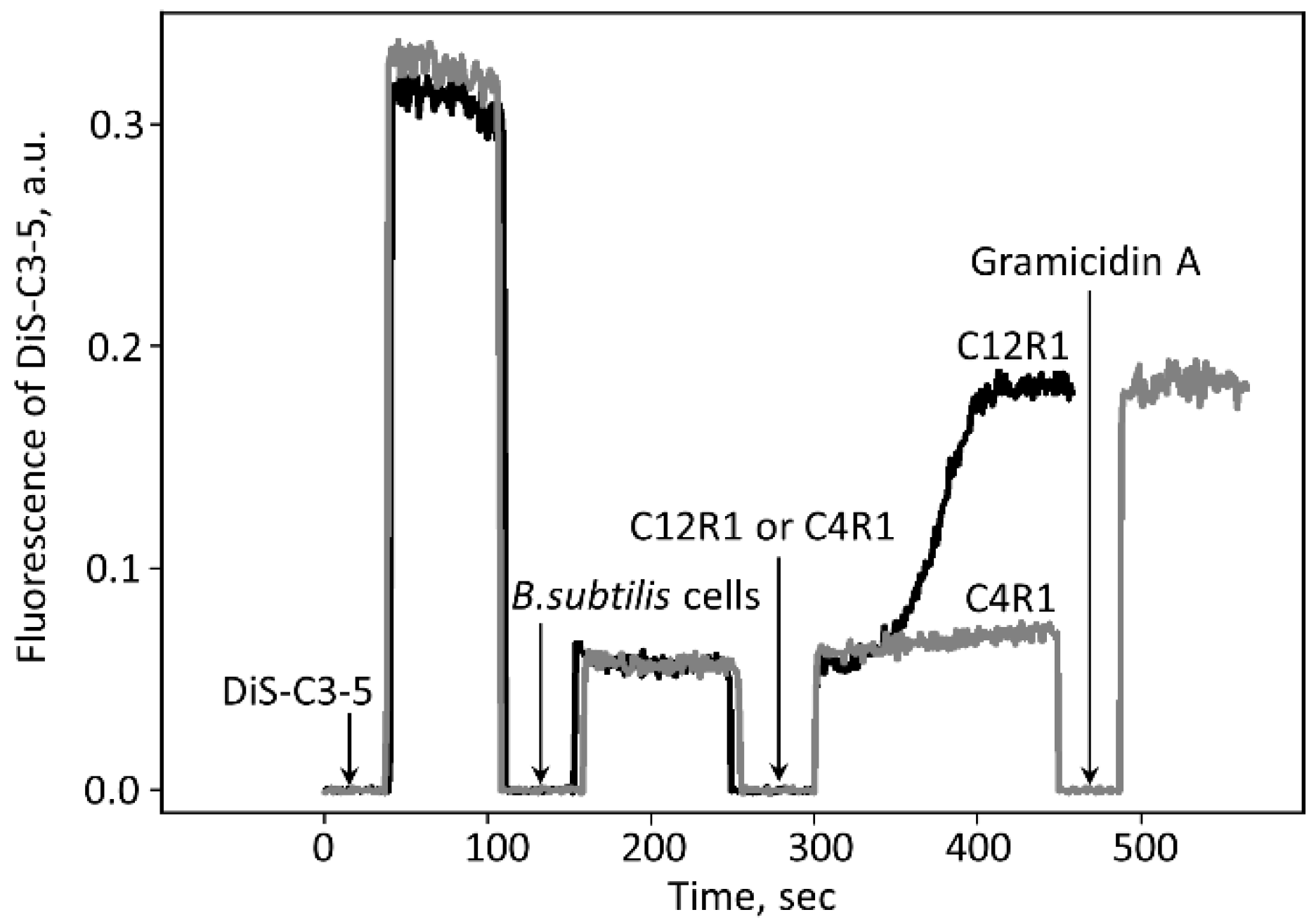 Antioxidants 12 00646 g003 Antioxidants 12 00646 g003