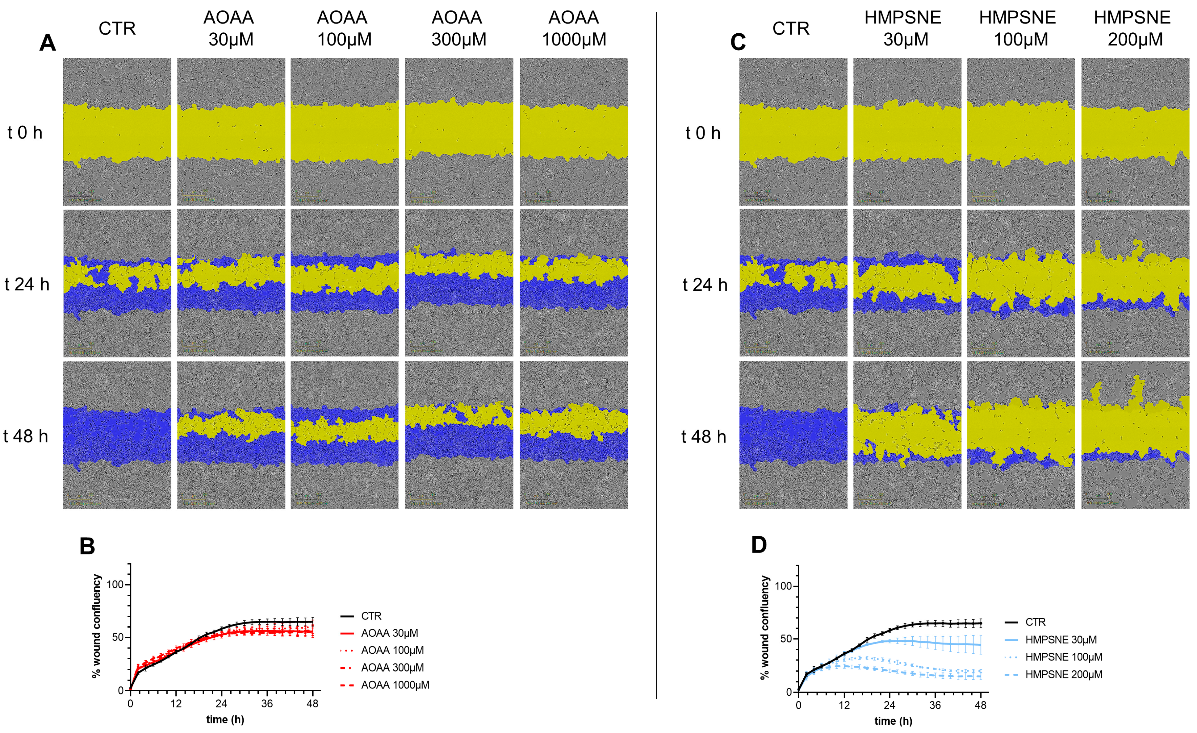 Antioxidants 12 00647 g007