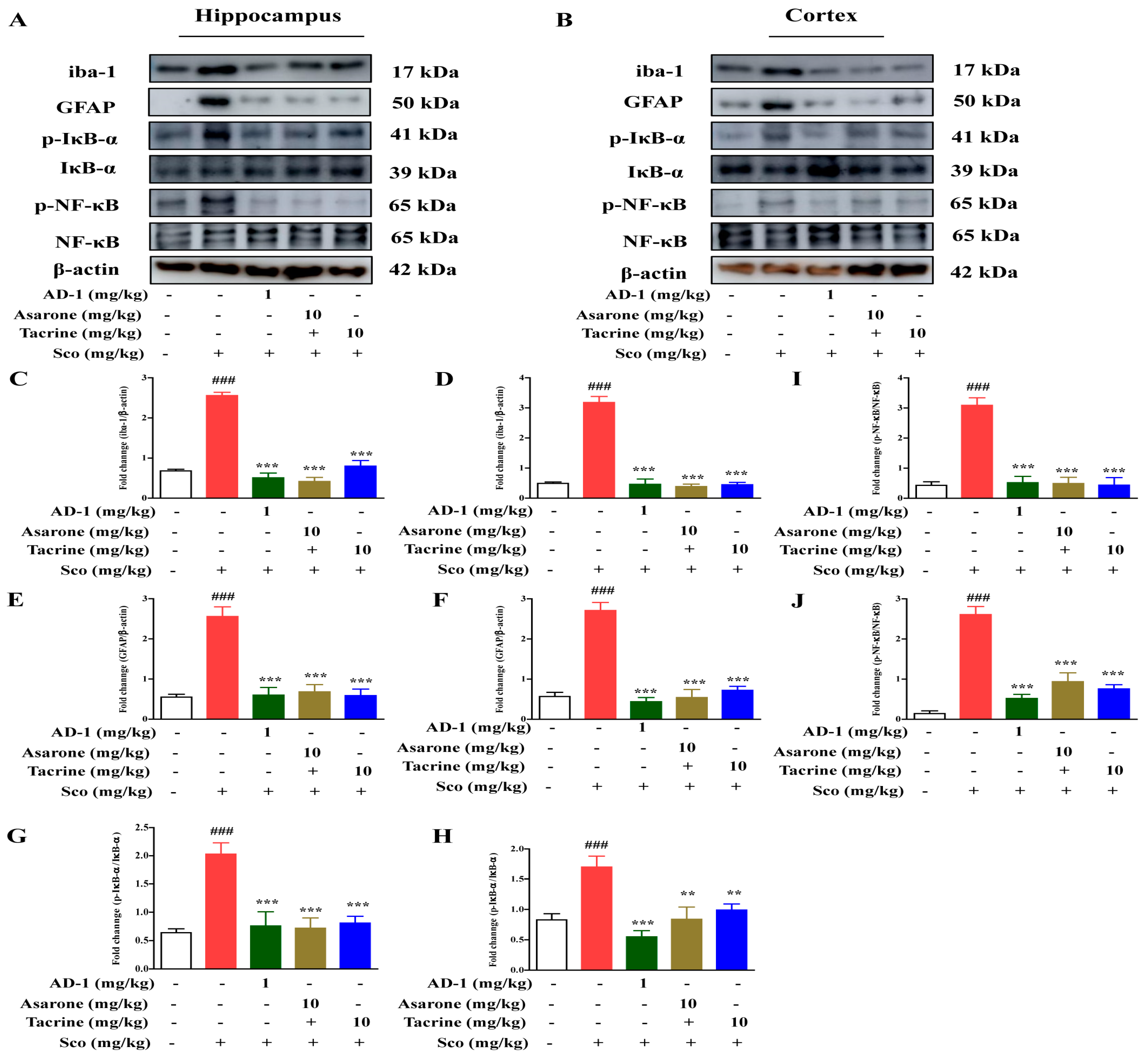 Antioxidants 12 00648 g008