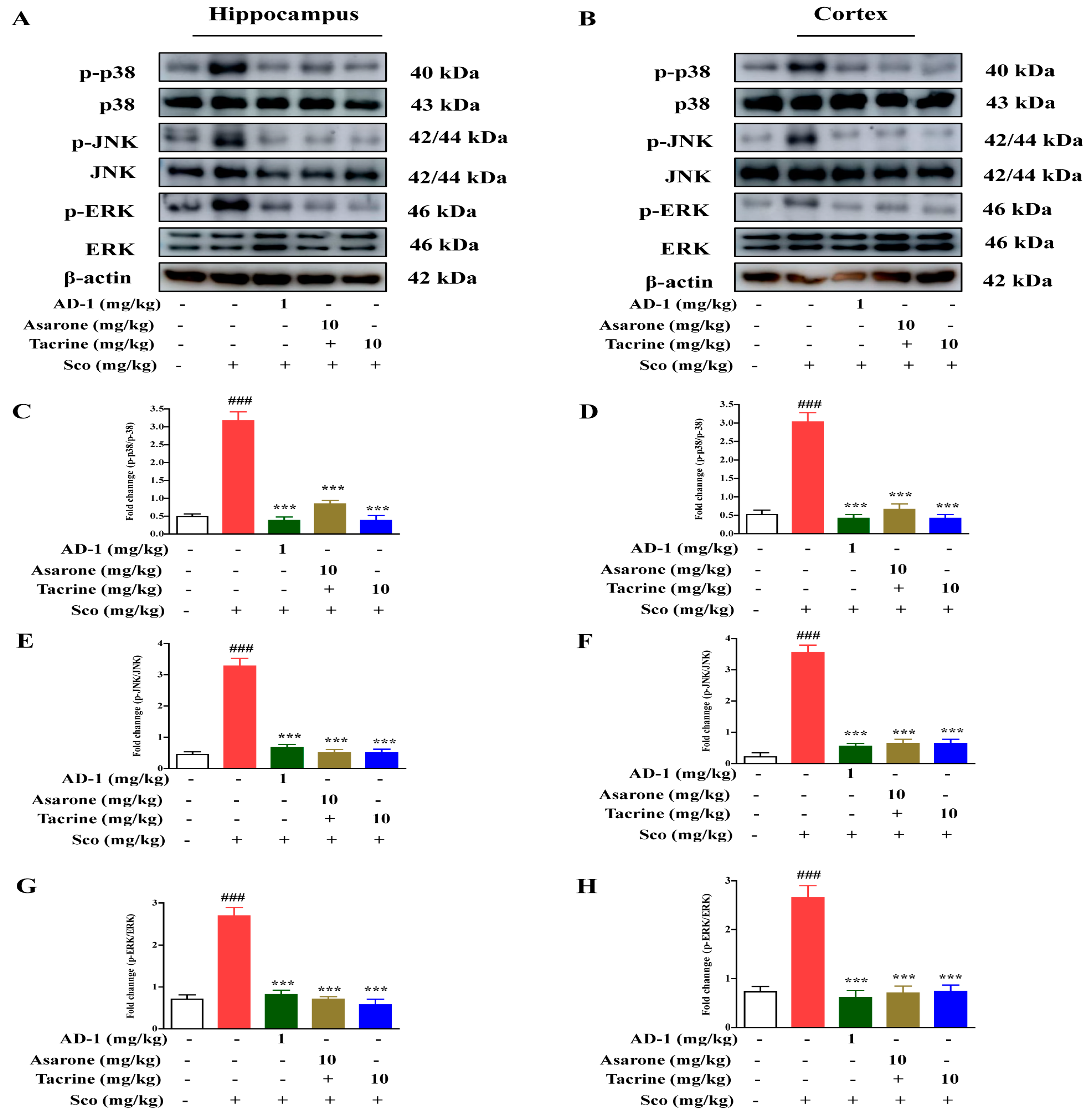 Antioxidants 12 00648 g009