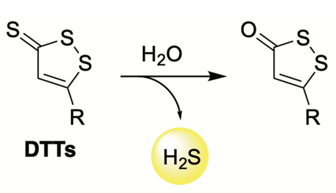 Antioxidants 12 00650 g004 Antioxidants 12 00650 g004