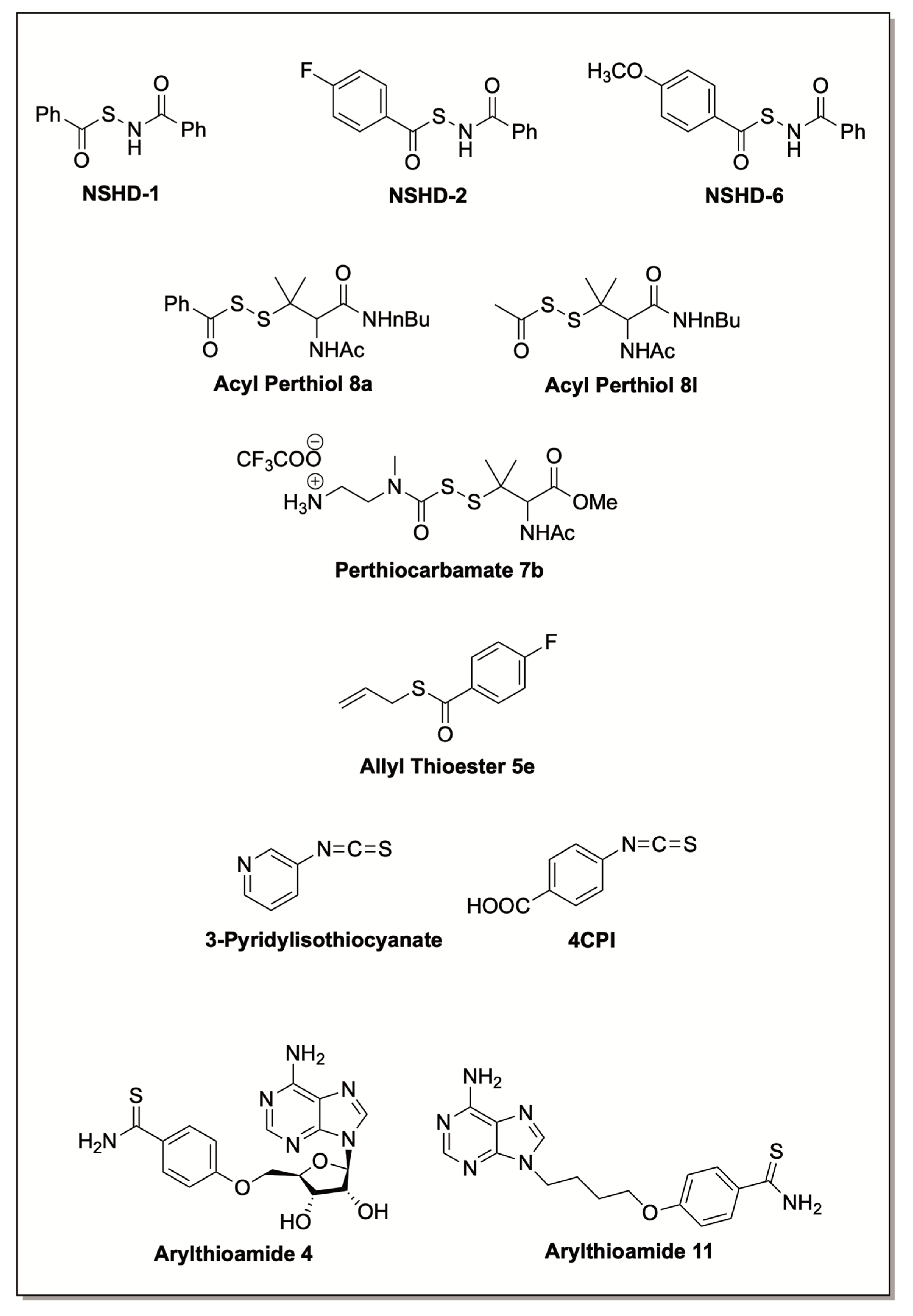 Antioxidants 12 00650 g008 Antioxidants 12 00650 g008