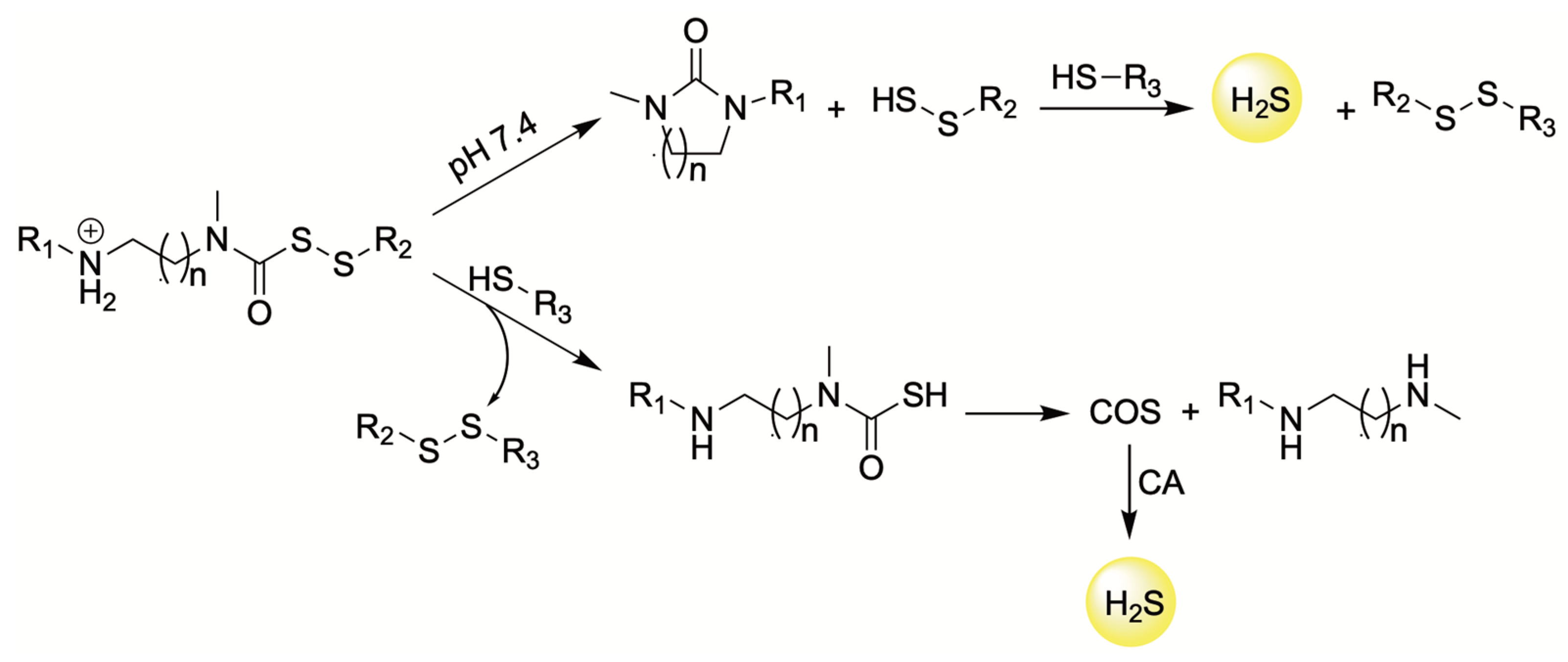 Antioxidants 12 00650 g012 Antioxidants 12 00650 g012