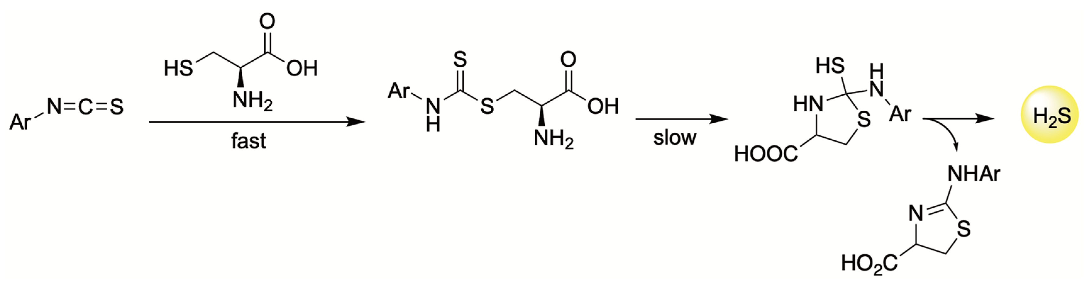 Antioxidants 12 00650 g013 Antioxidants 12 00650 g013