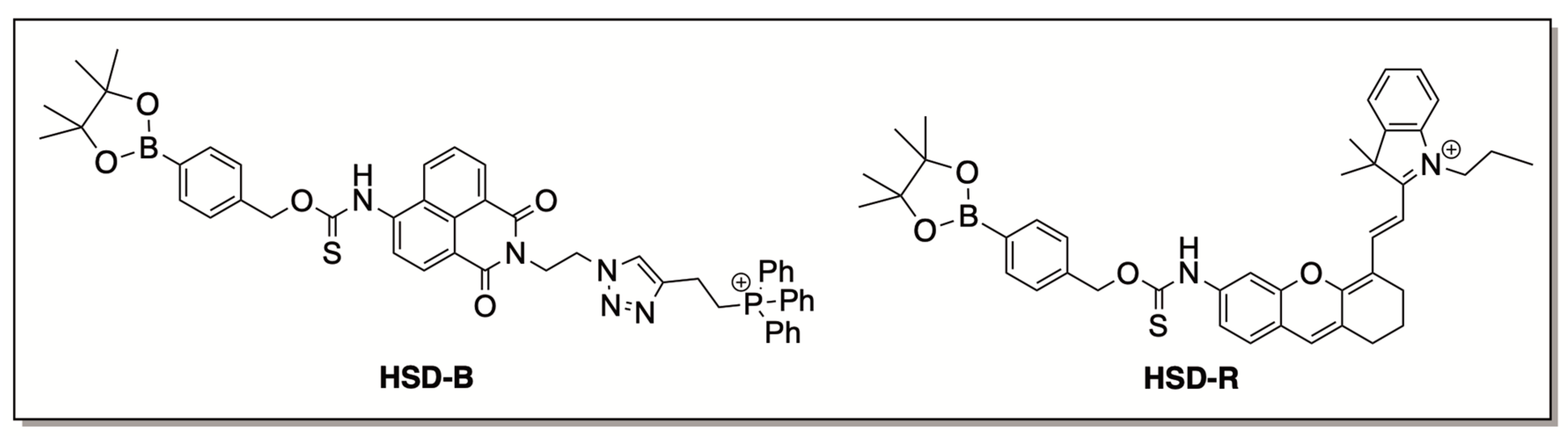 Antioxidants 12 00650 g017 Antioxidants 12 00650 g017