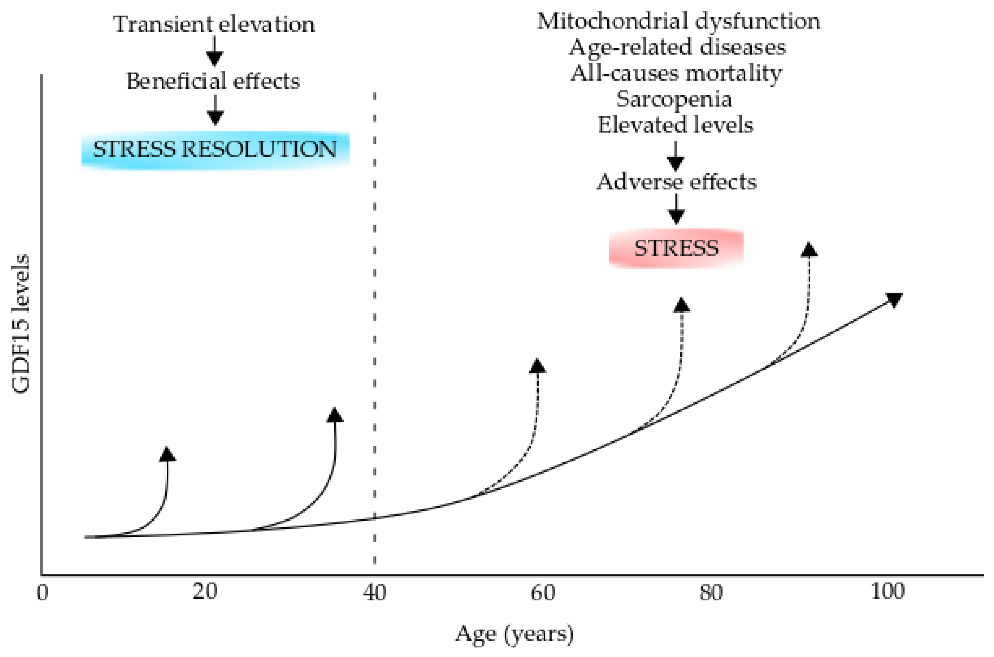 Antioxidants 12 00651 g005