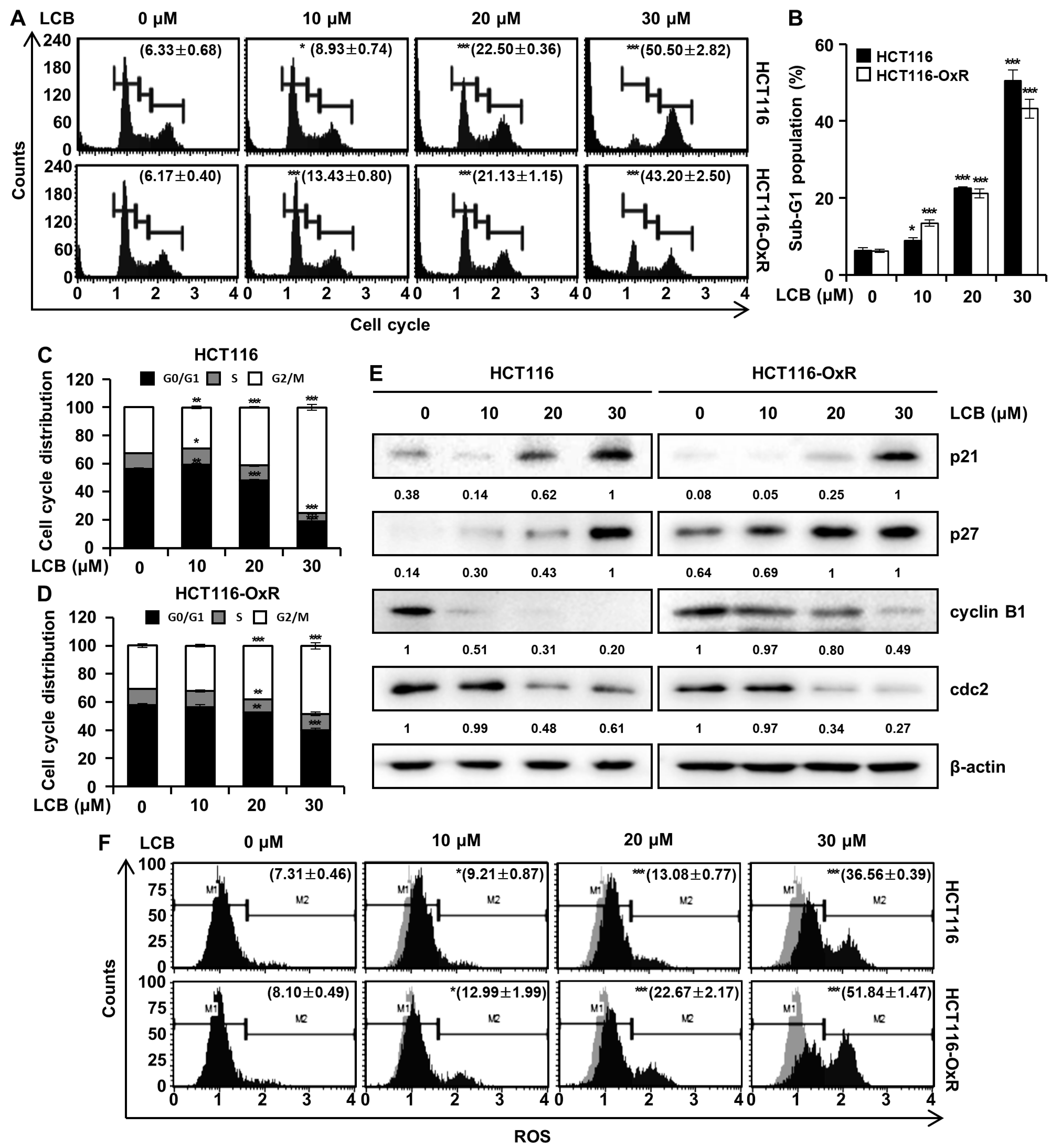 Antioxidants 12 00656 g003