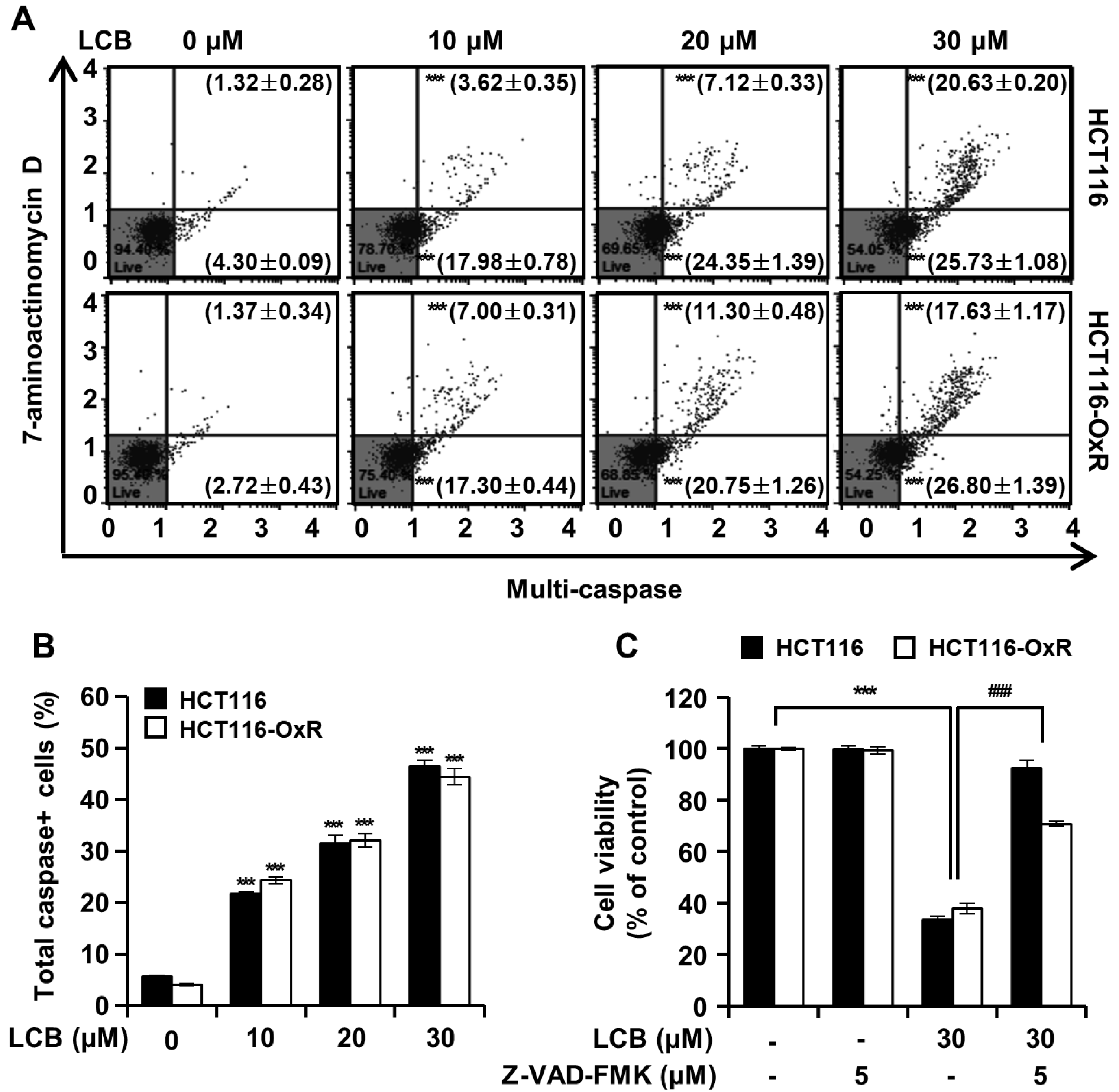 Antioxidants 12 00656 g005