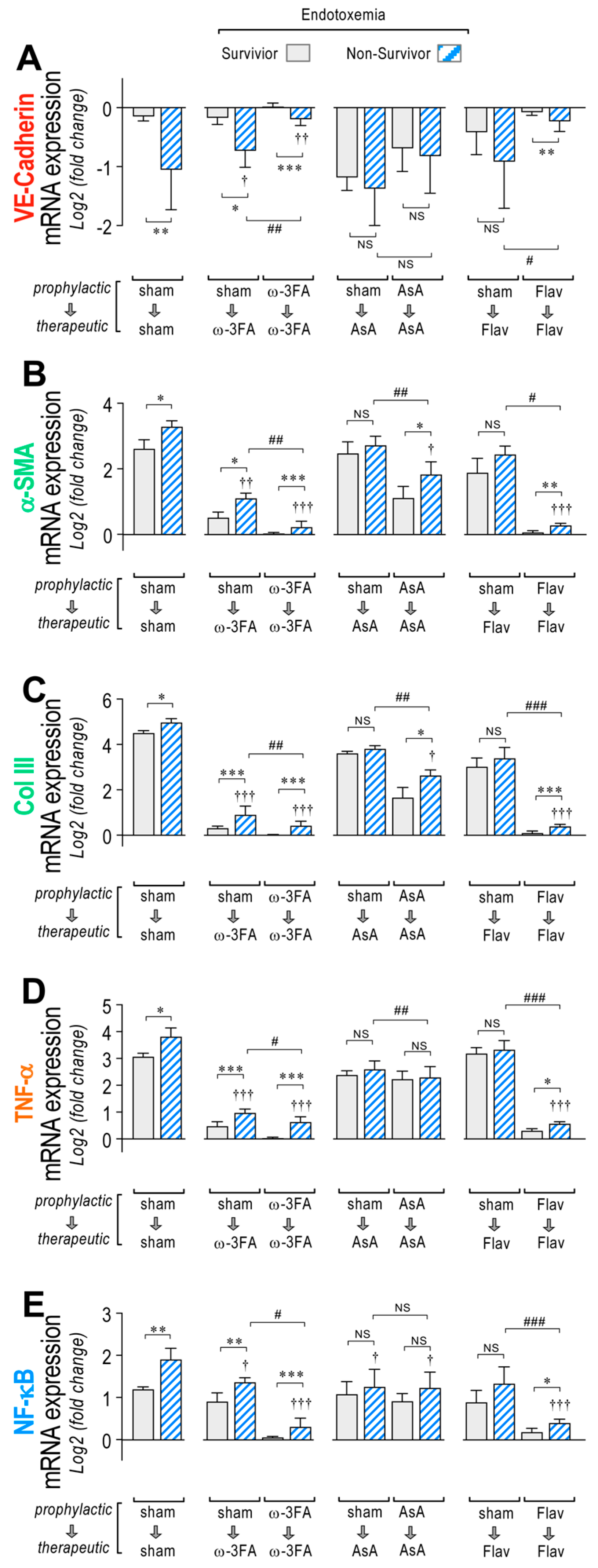 Antioxidants 12 00659 g004