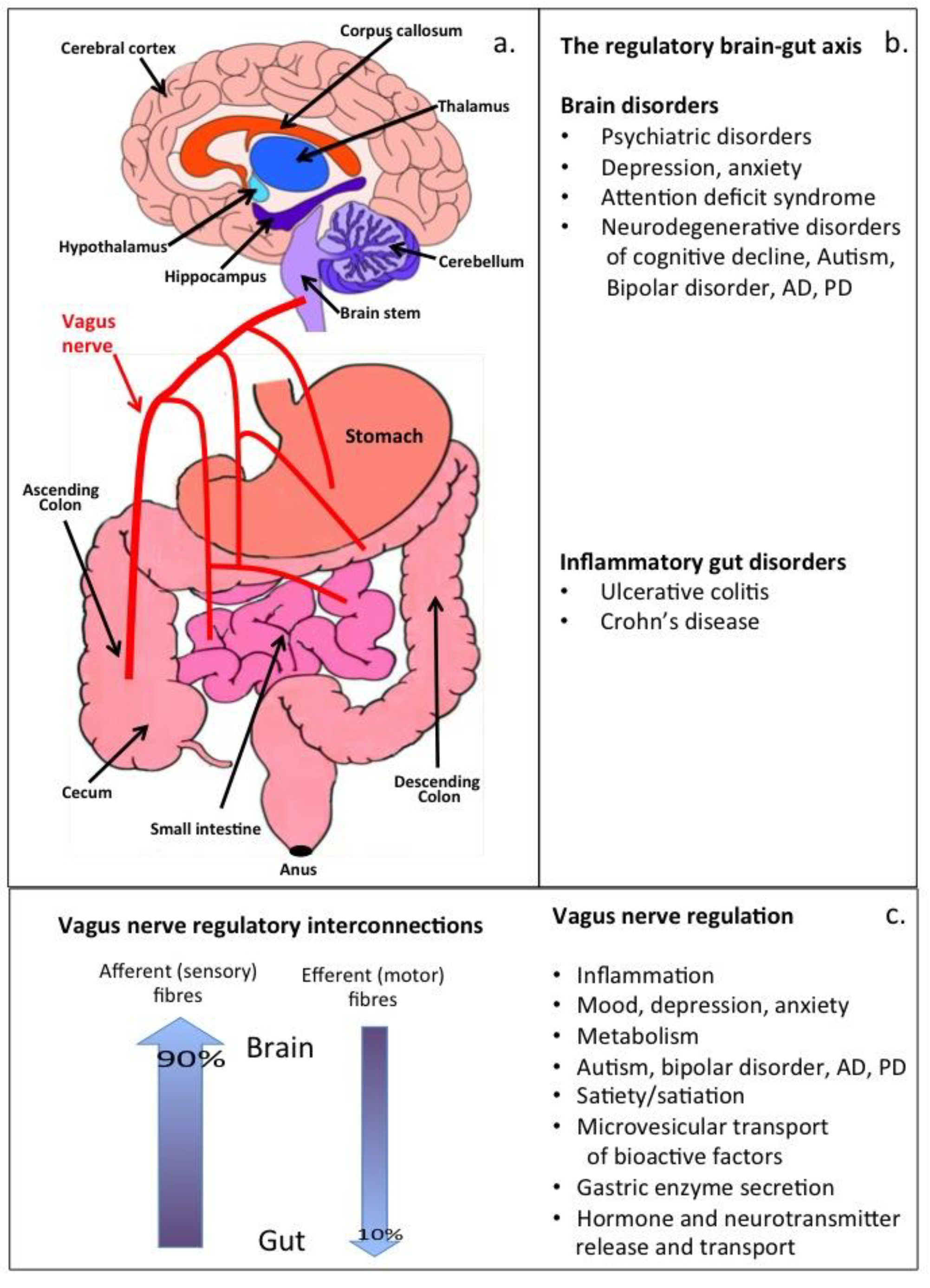 Antioxidants 12 00663 g001